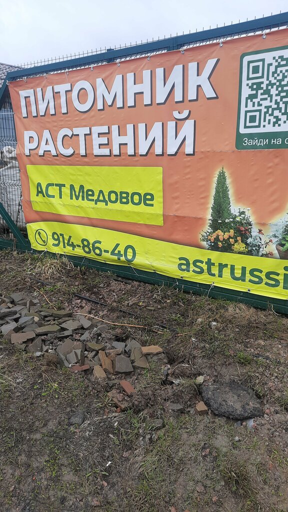 Garden center Sadovyy tsentr Ast Medovoye, Saint‑Petersburg and Leningrad Oblast, photo