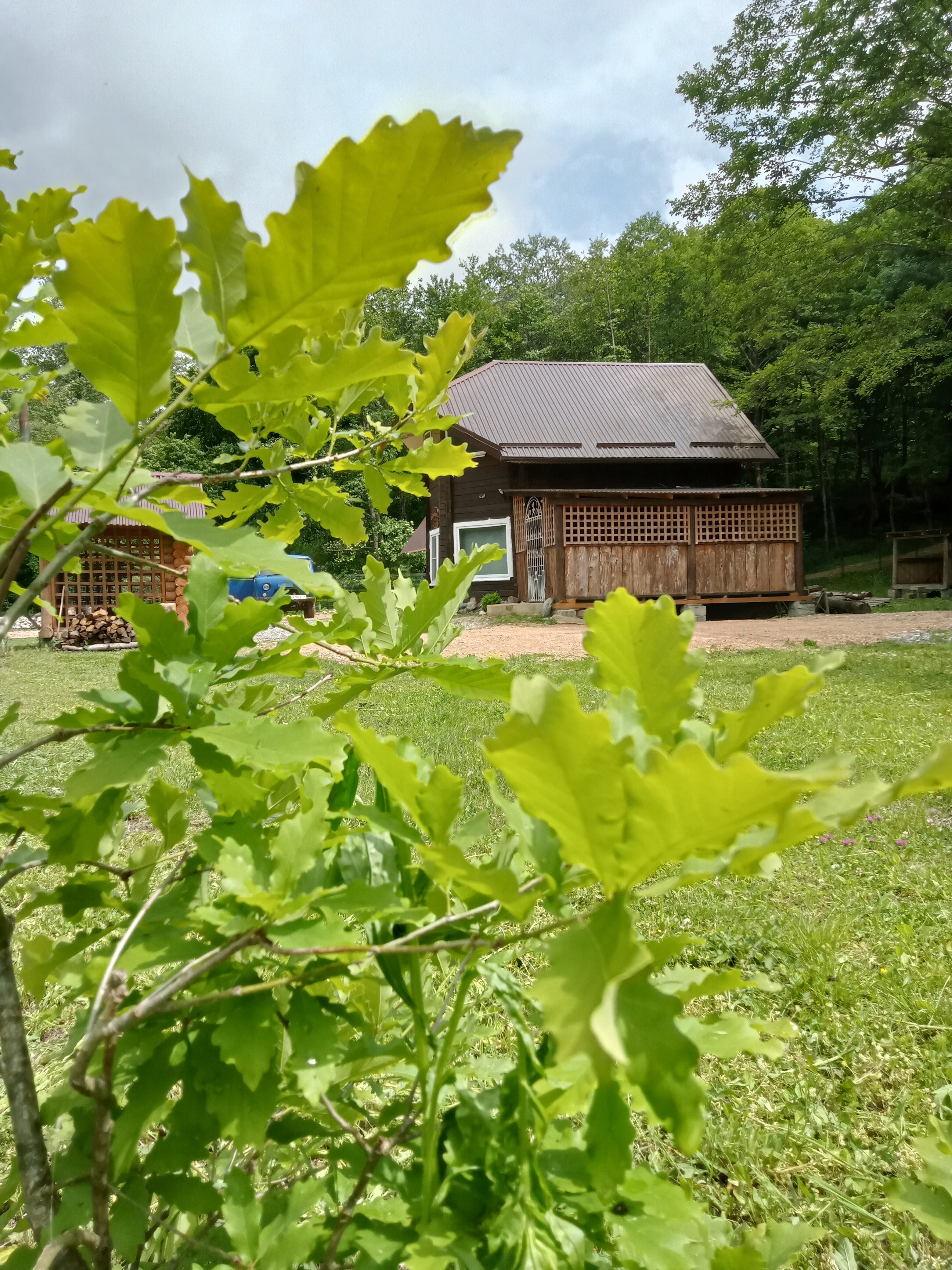 Фото Дикий дом