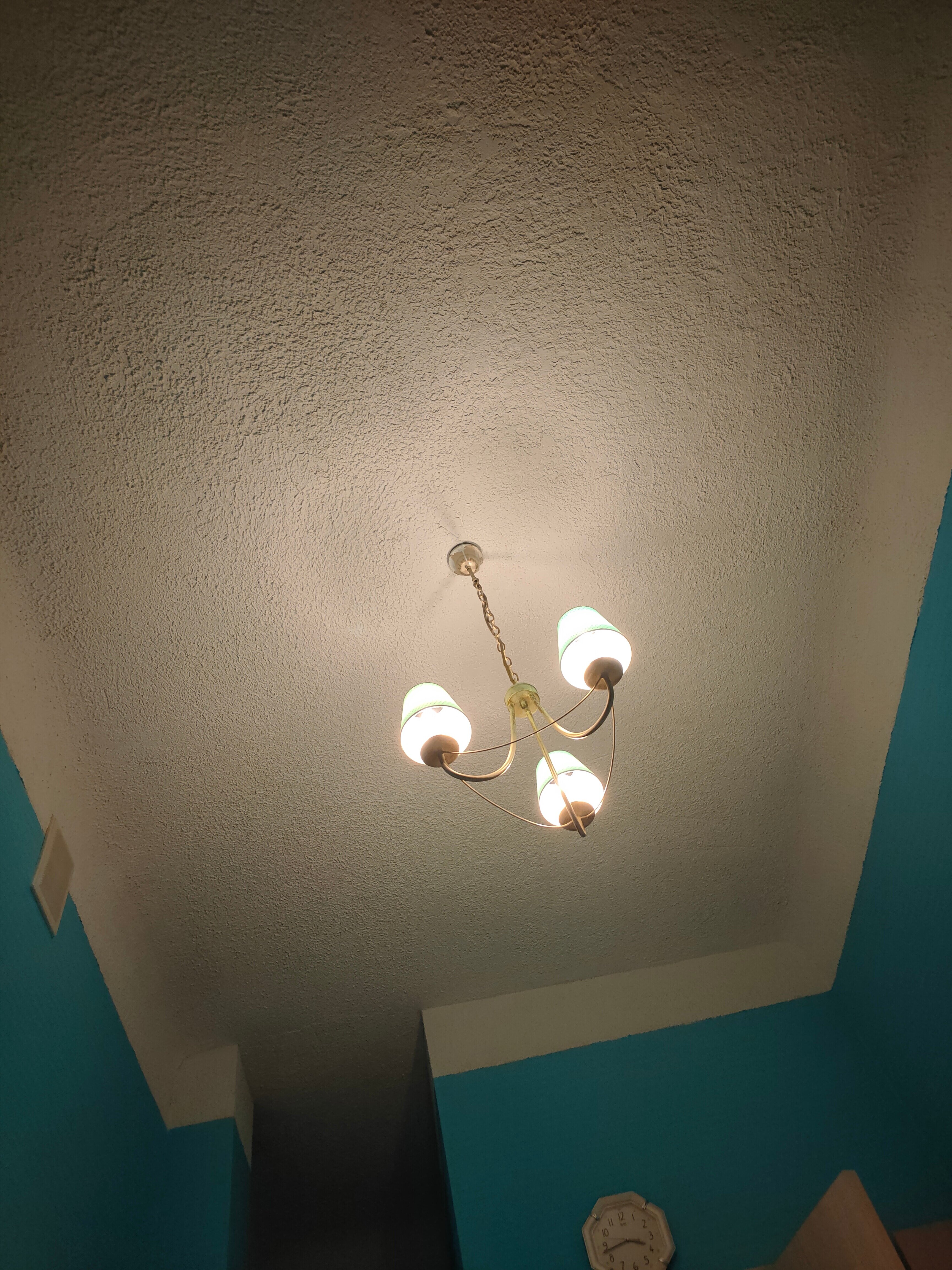 Фото Старый кот