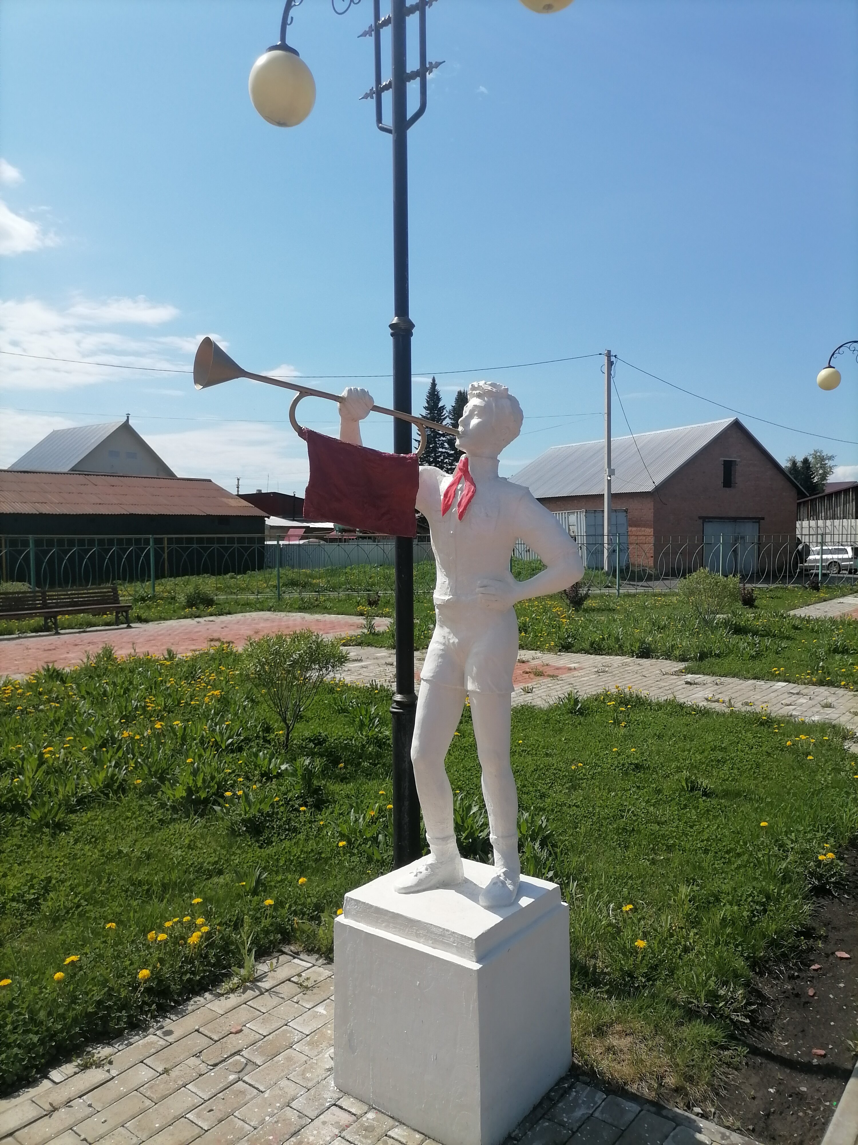 Фото Колибри