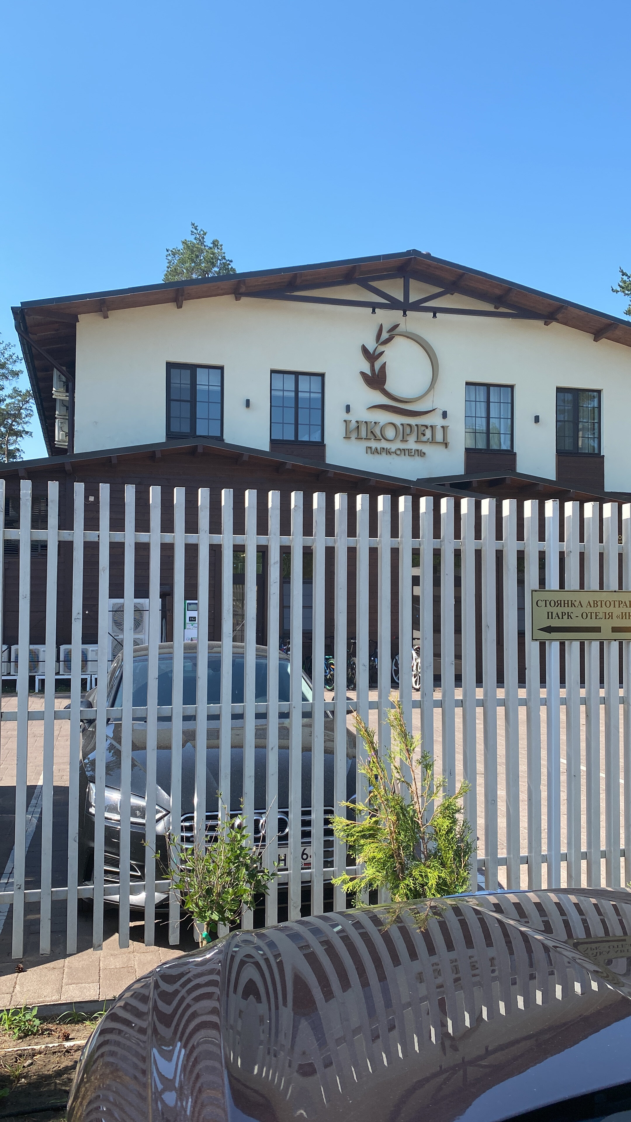 Фото Икорец