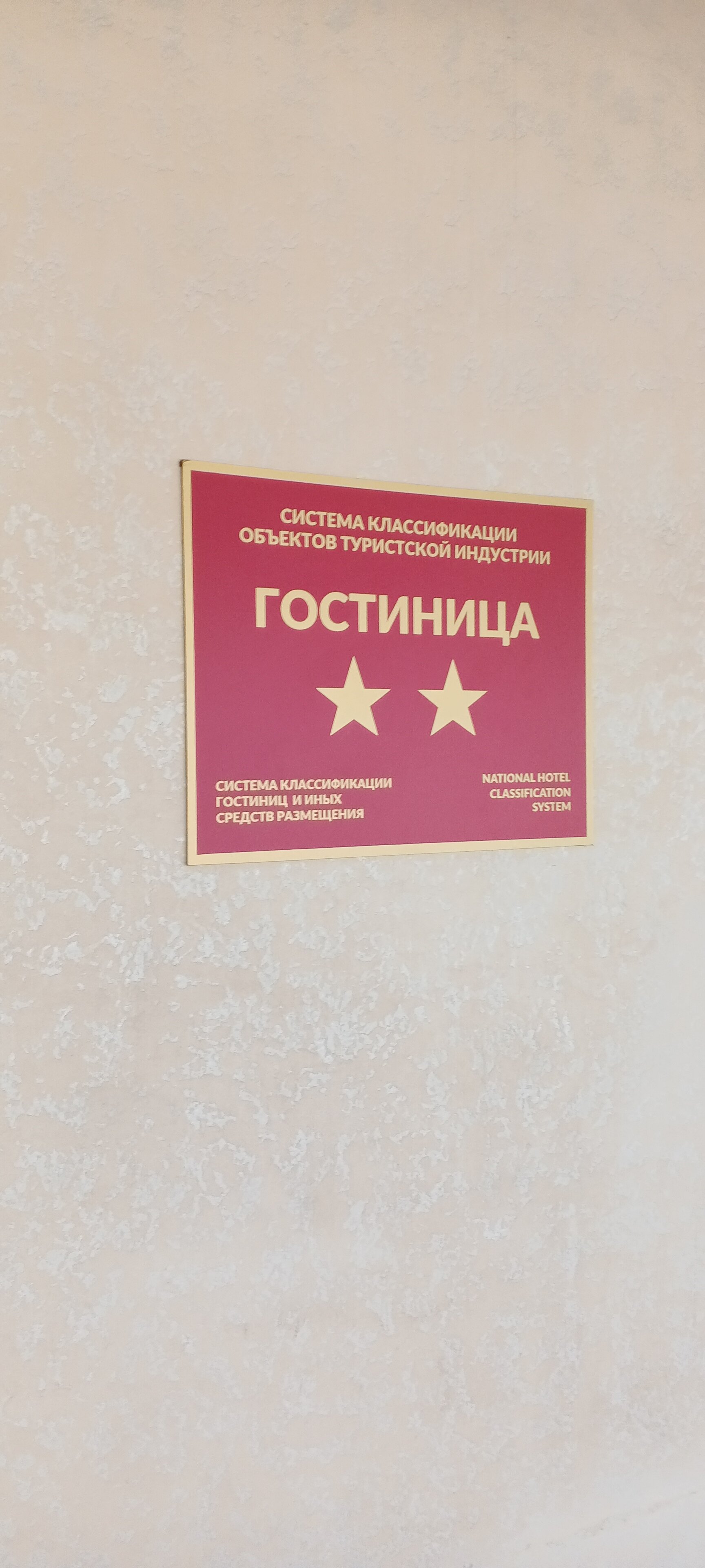 Фото Берёзка