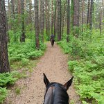 Конный клуб У моря Обского (Sofiyskaya ulitsa, 15/9), club de caballos