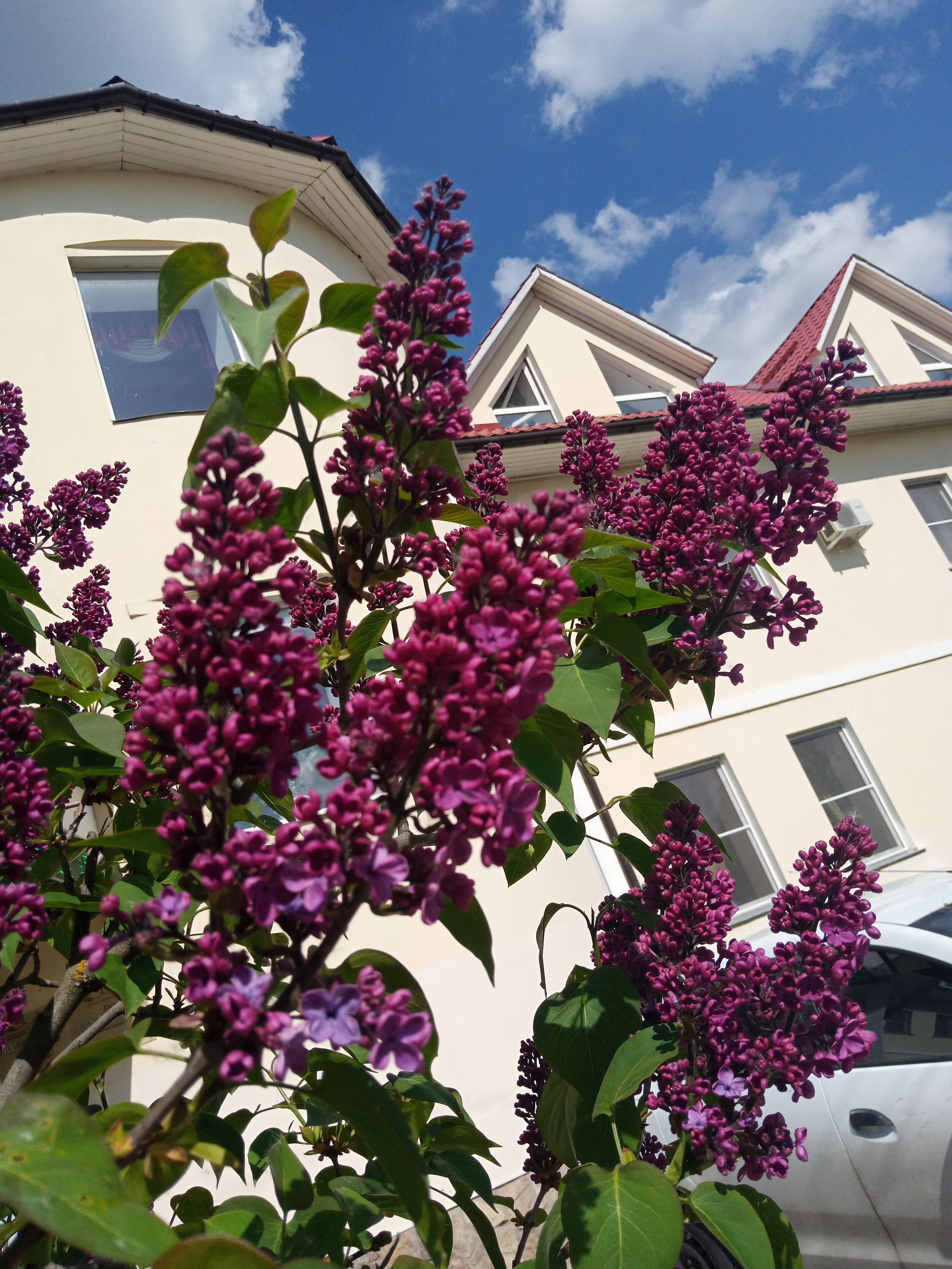 Фото Колыба