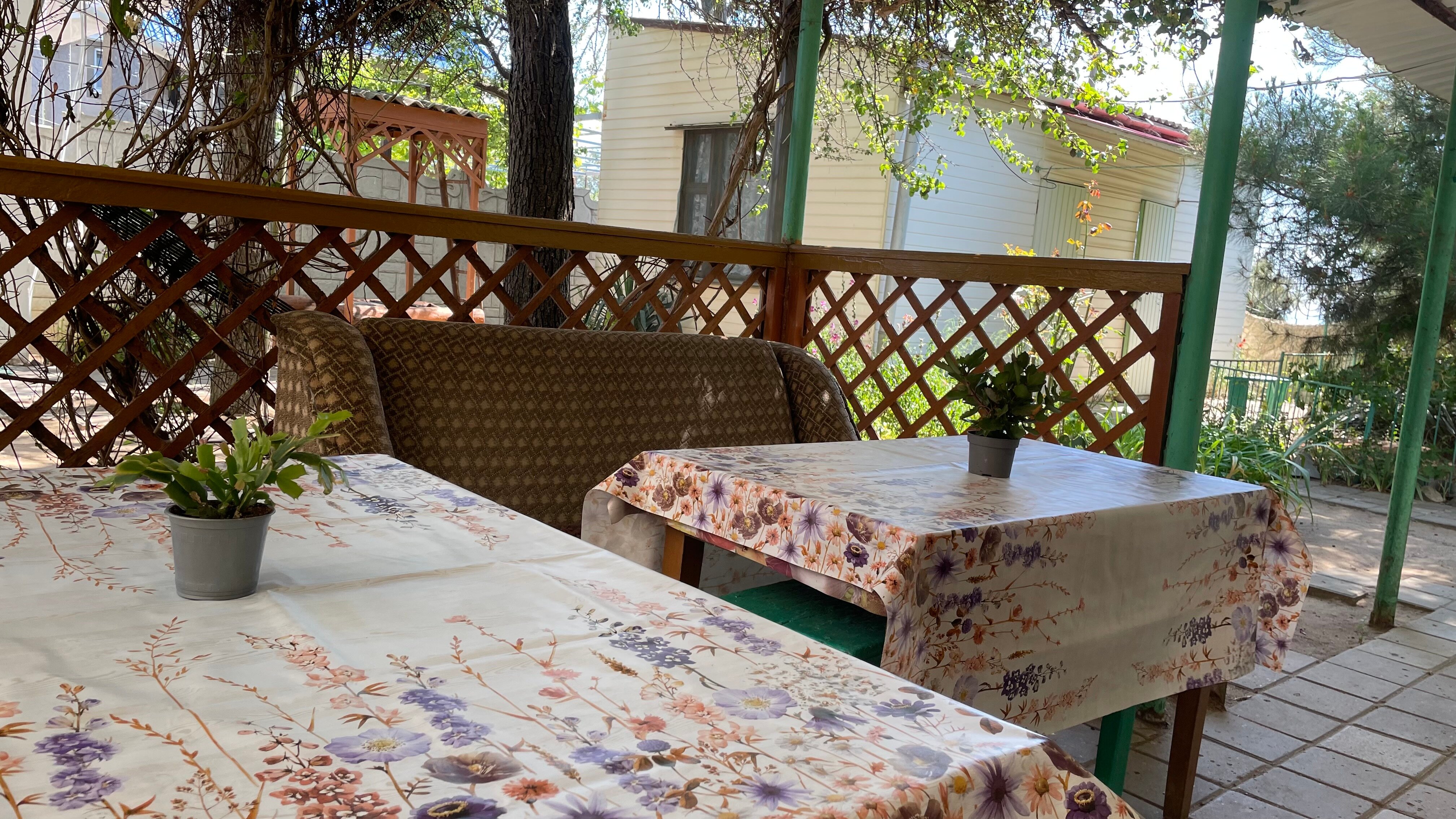 Фото КристОля