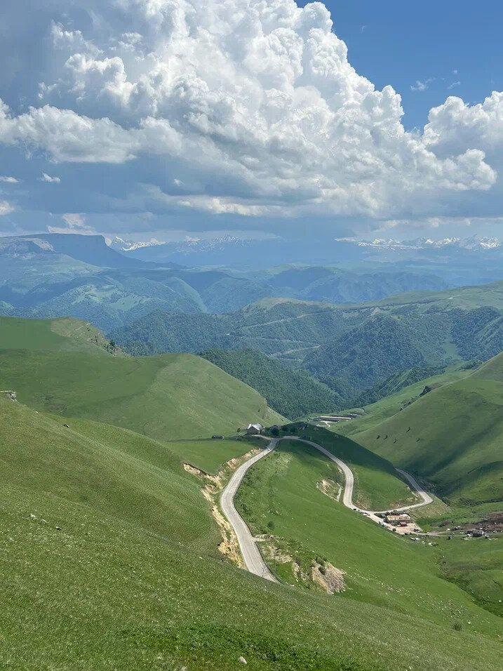 Фото Медовые Холмы