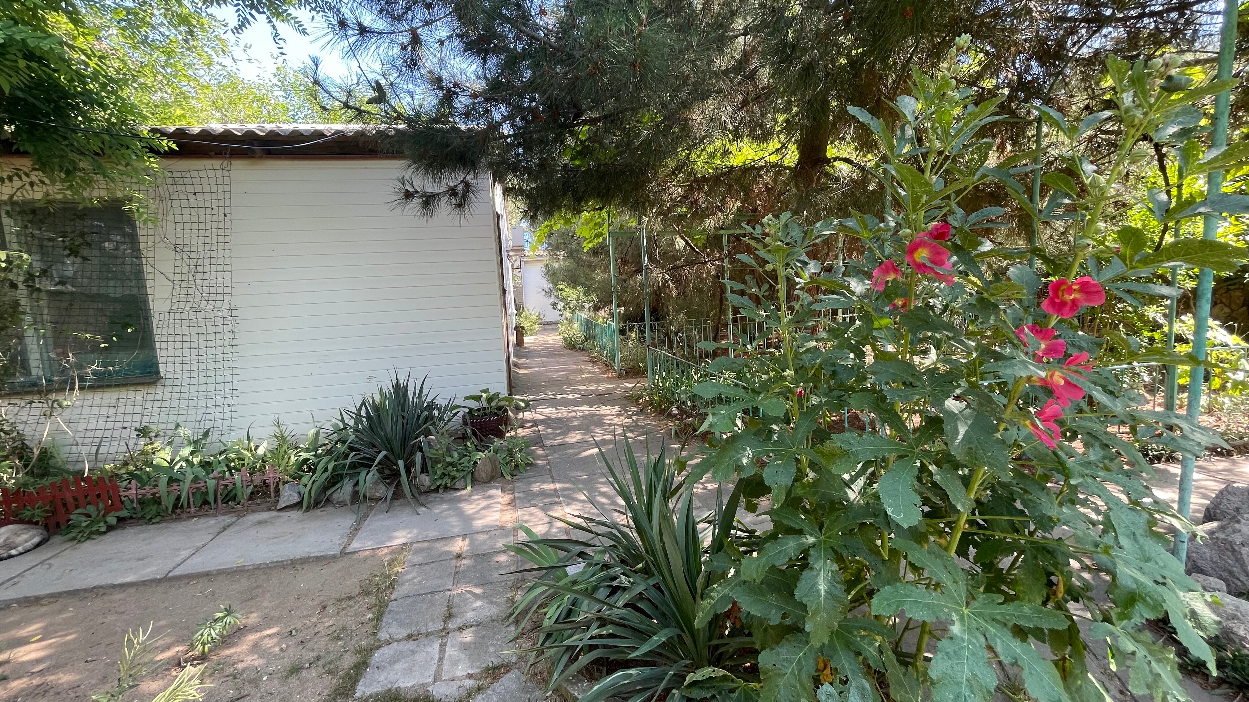 Фото КристОля