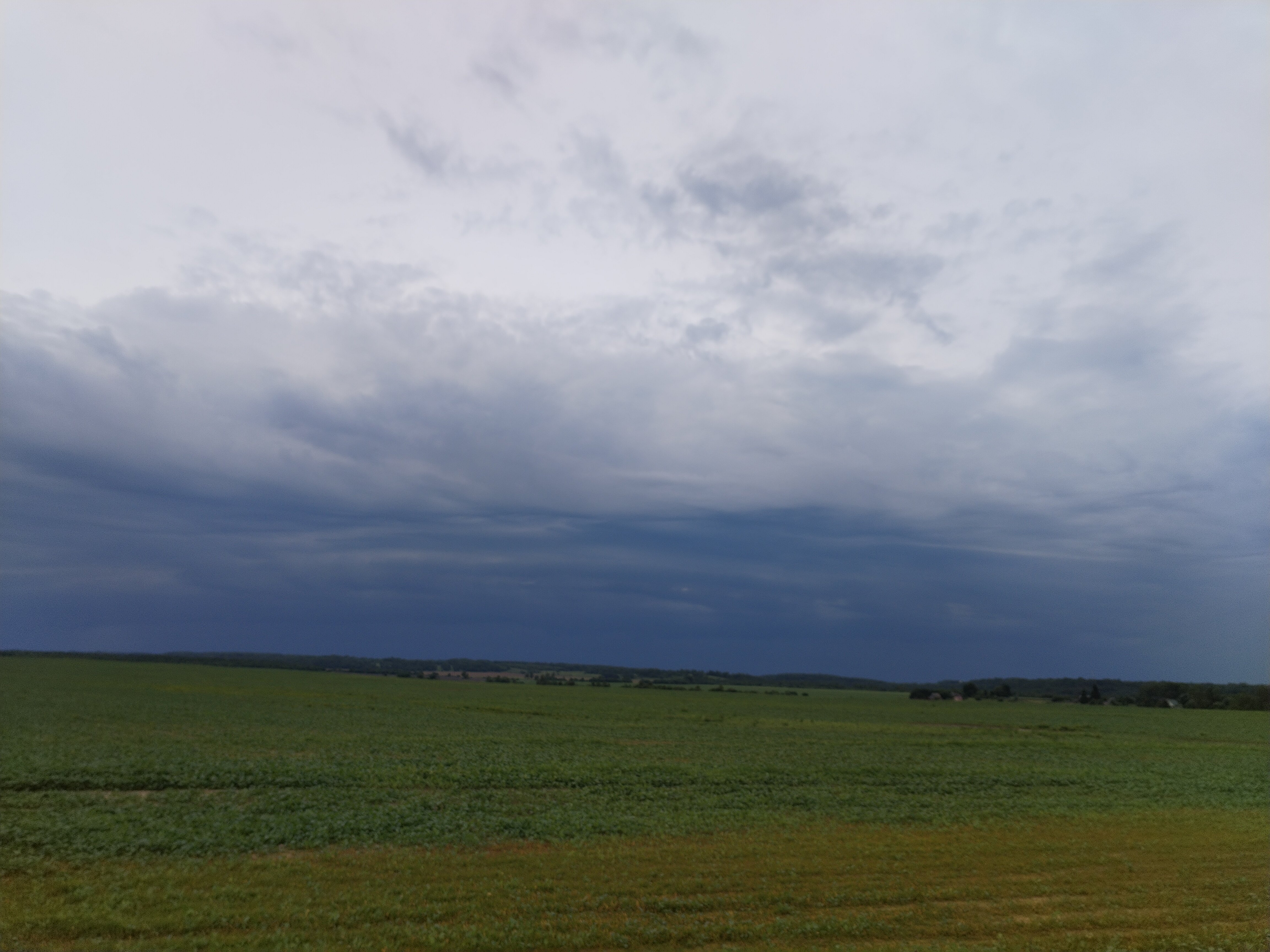 Фото Рутавечь