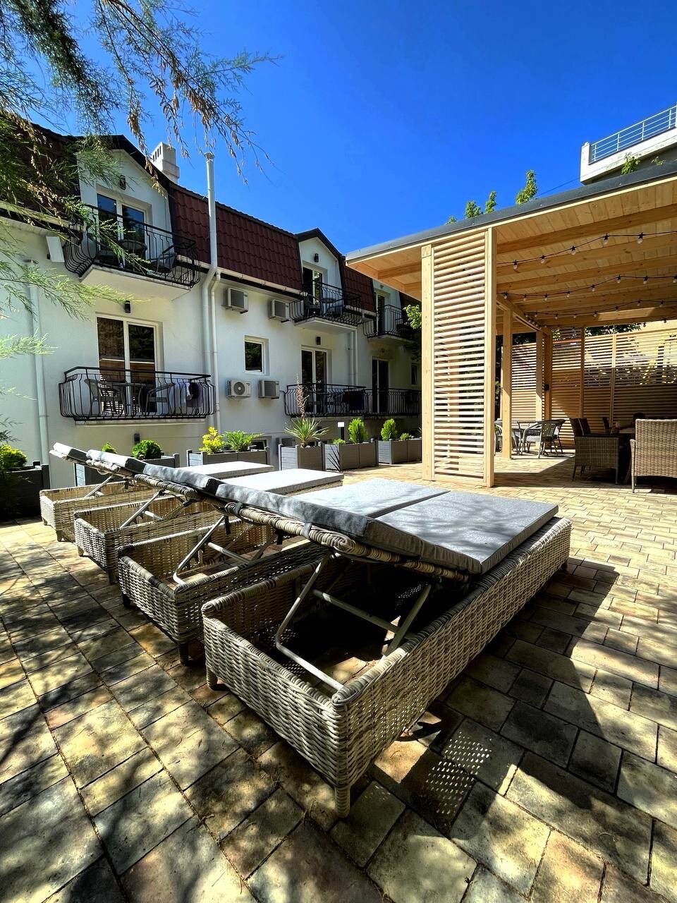 Фото Южный Кедр