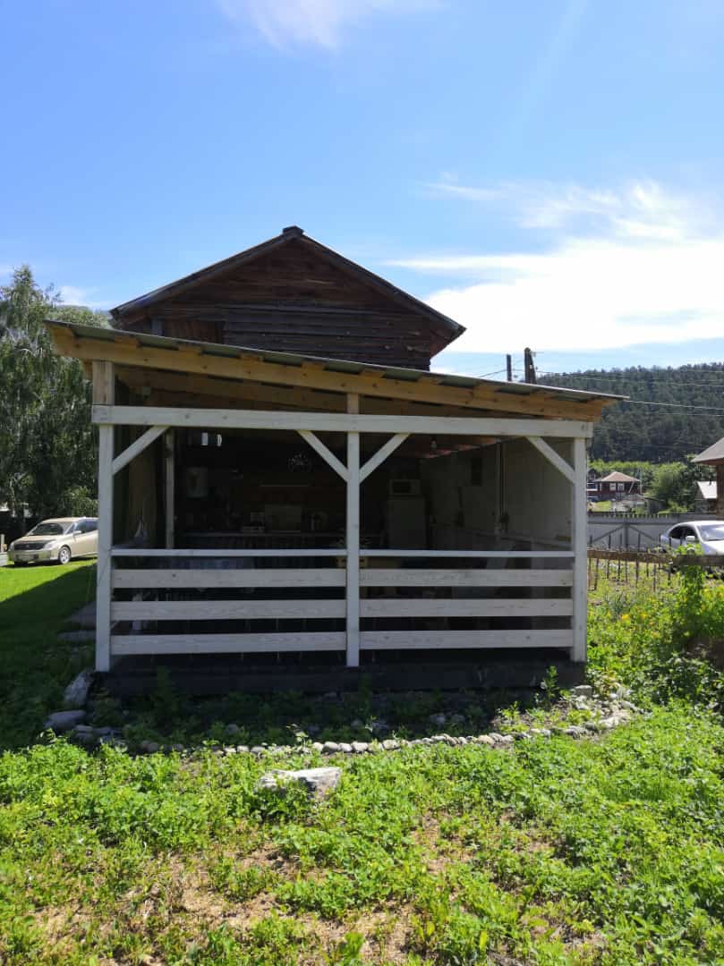 Фото Ель и кедр