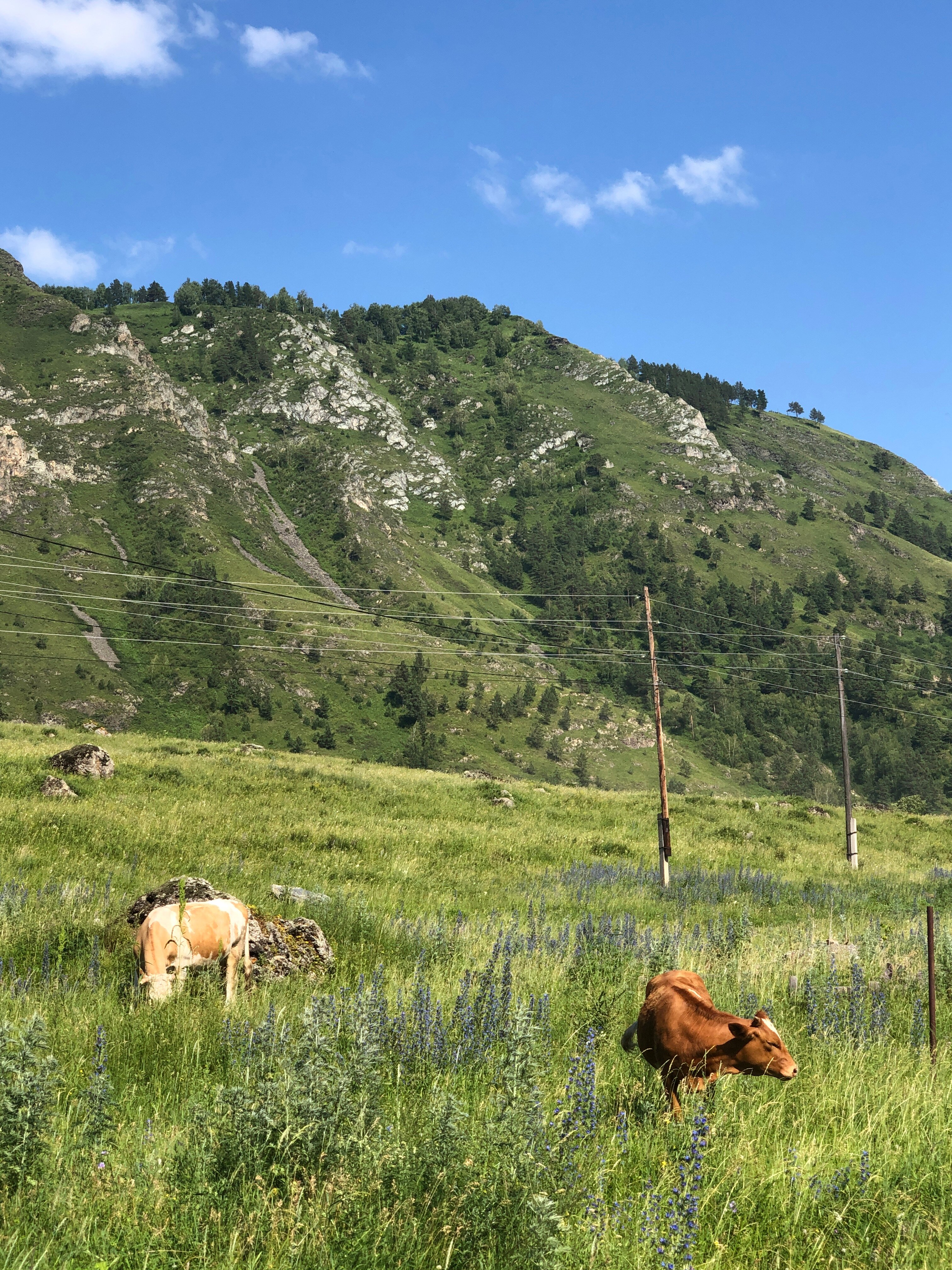 Фото Дача Удача