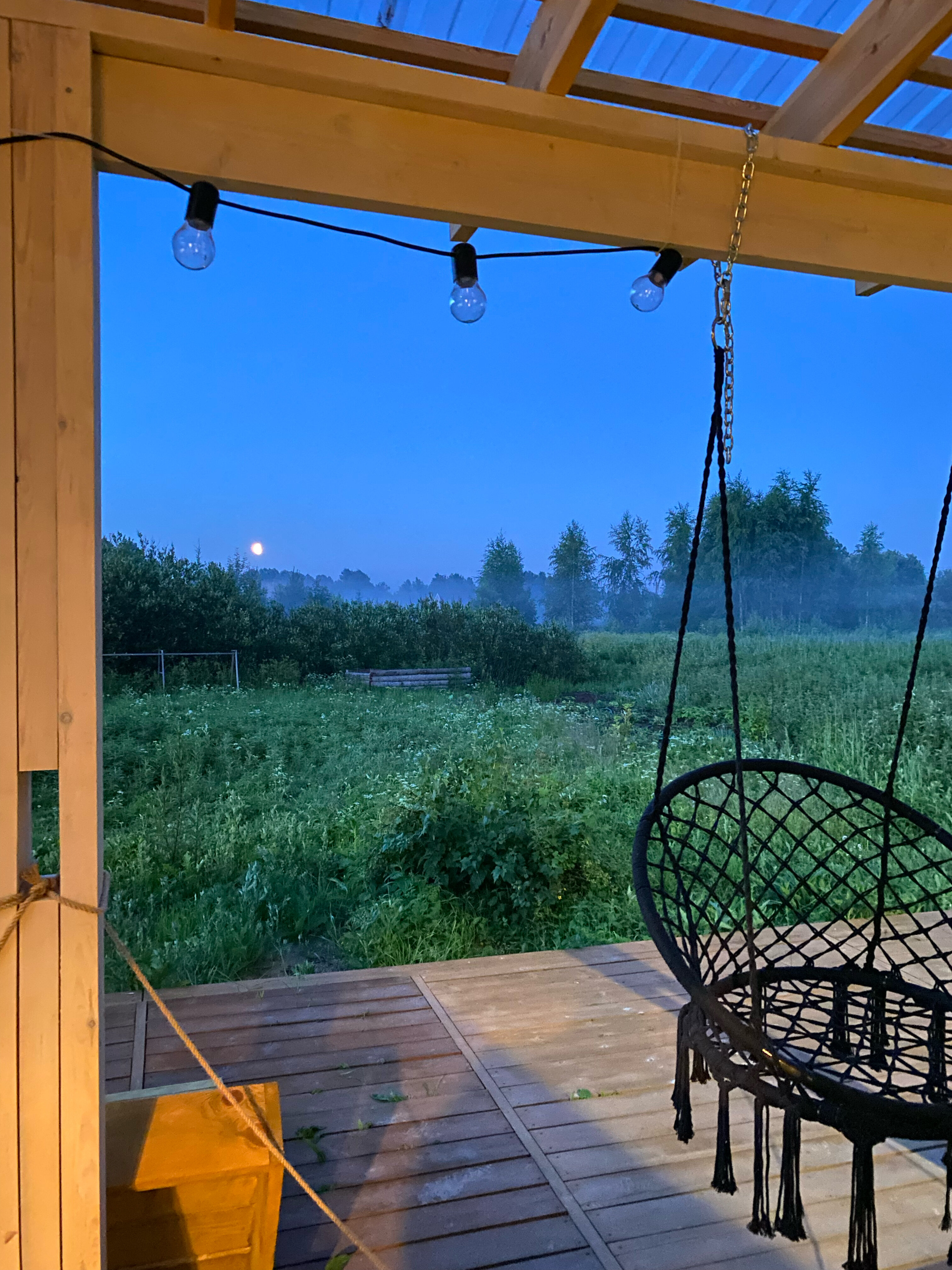 Фото Ракита