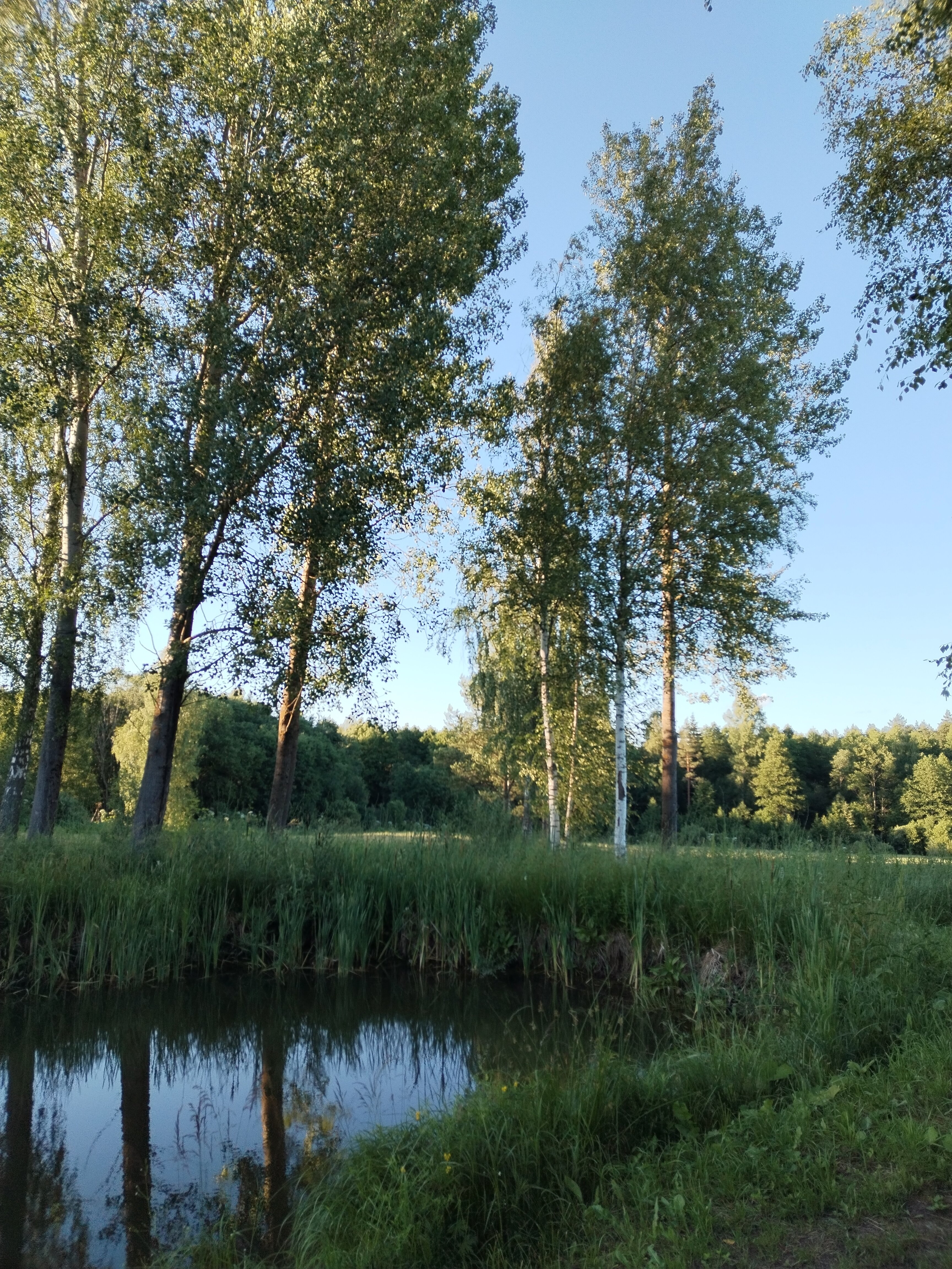 Фото Поместье Загосье