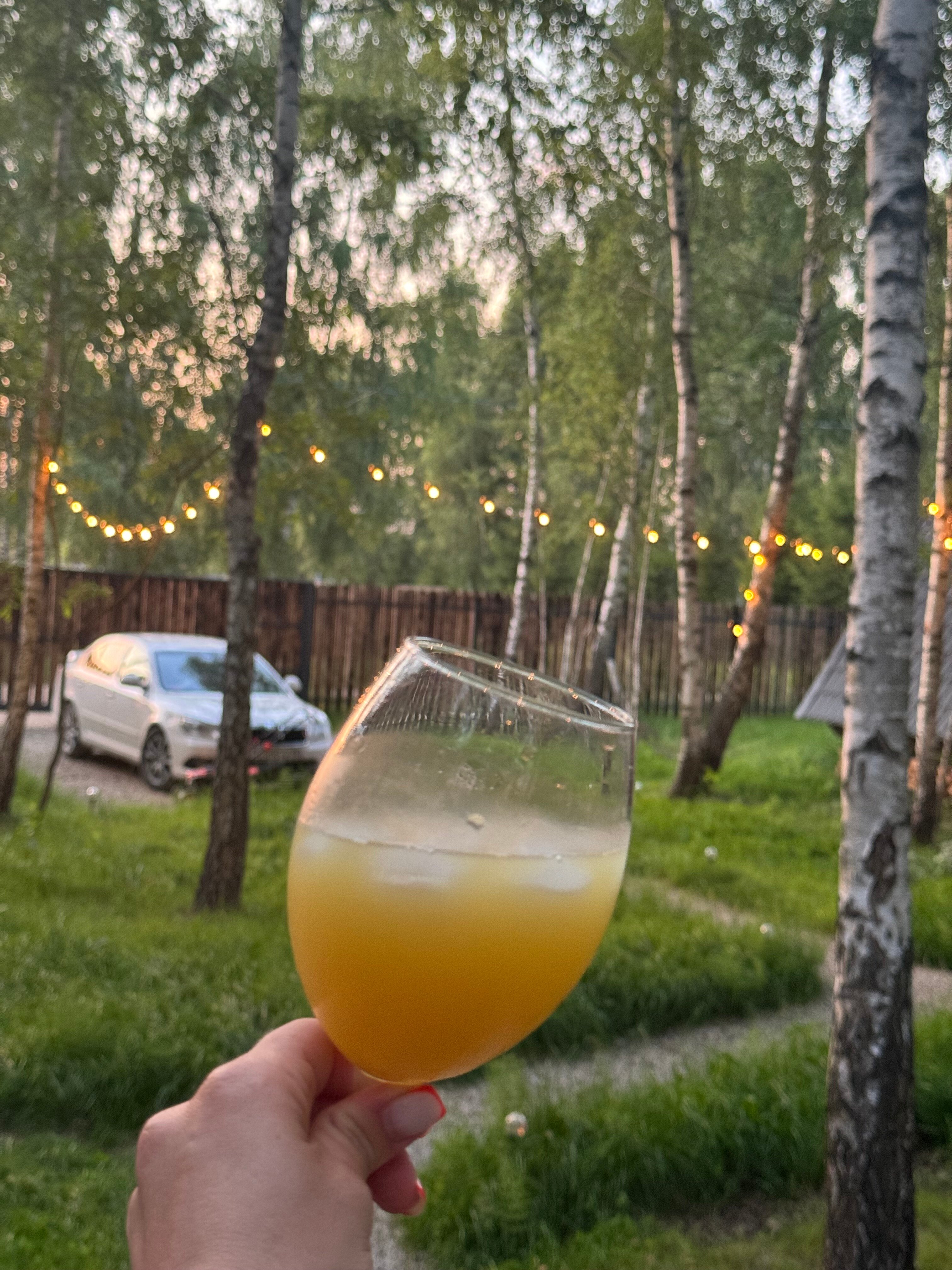 Фото Эко Дуб