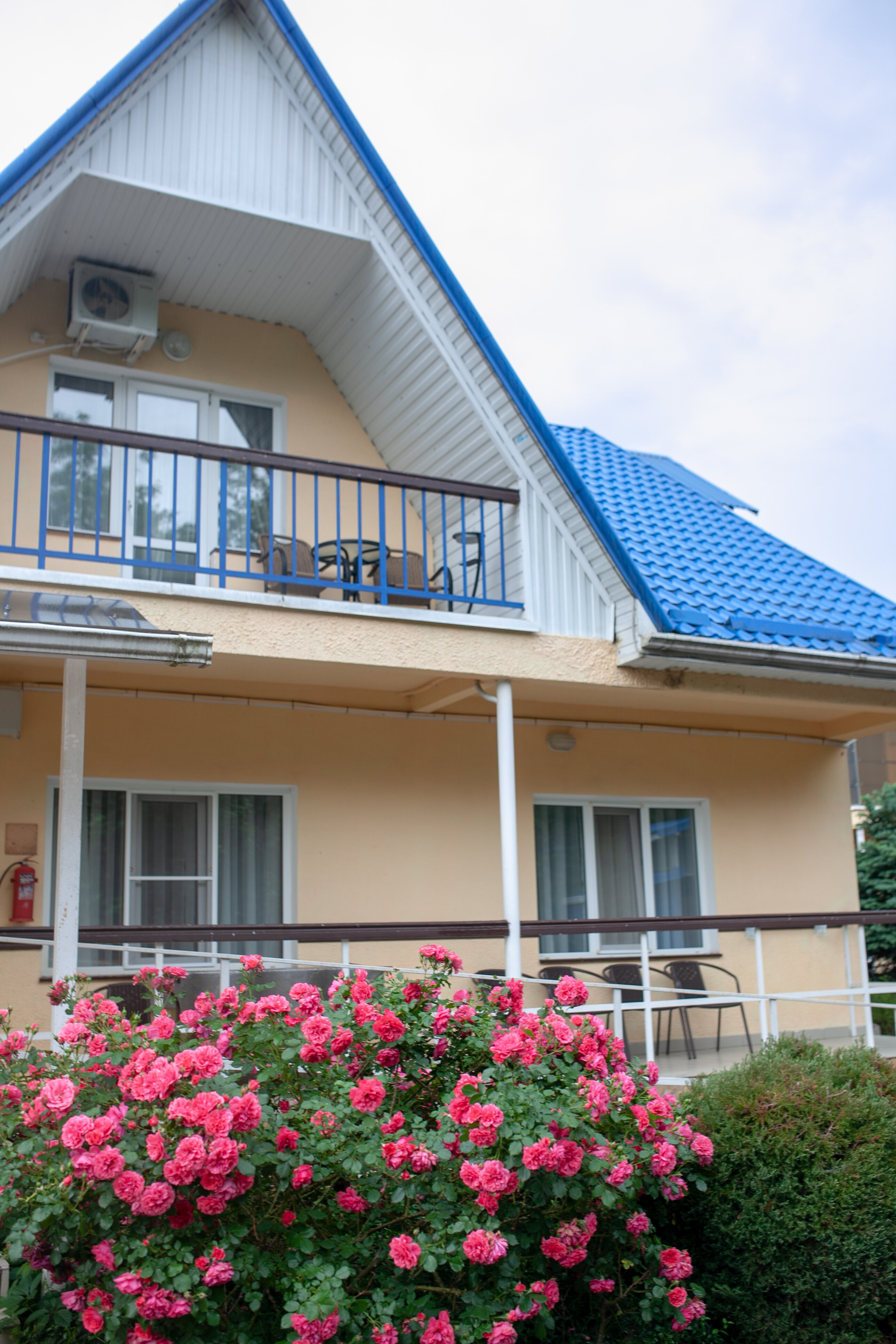 Фото Аква-Вита