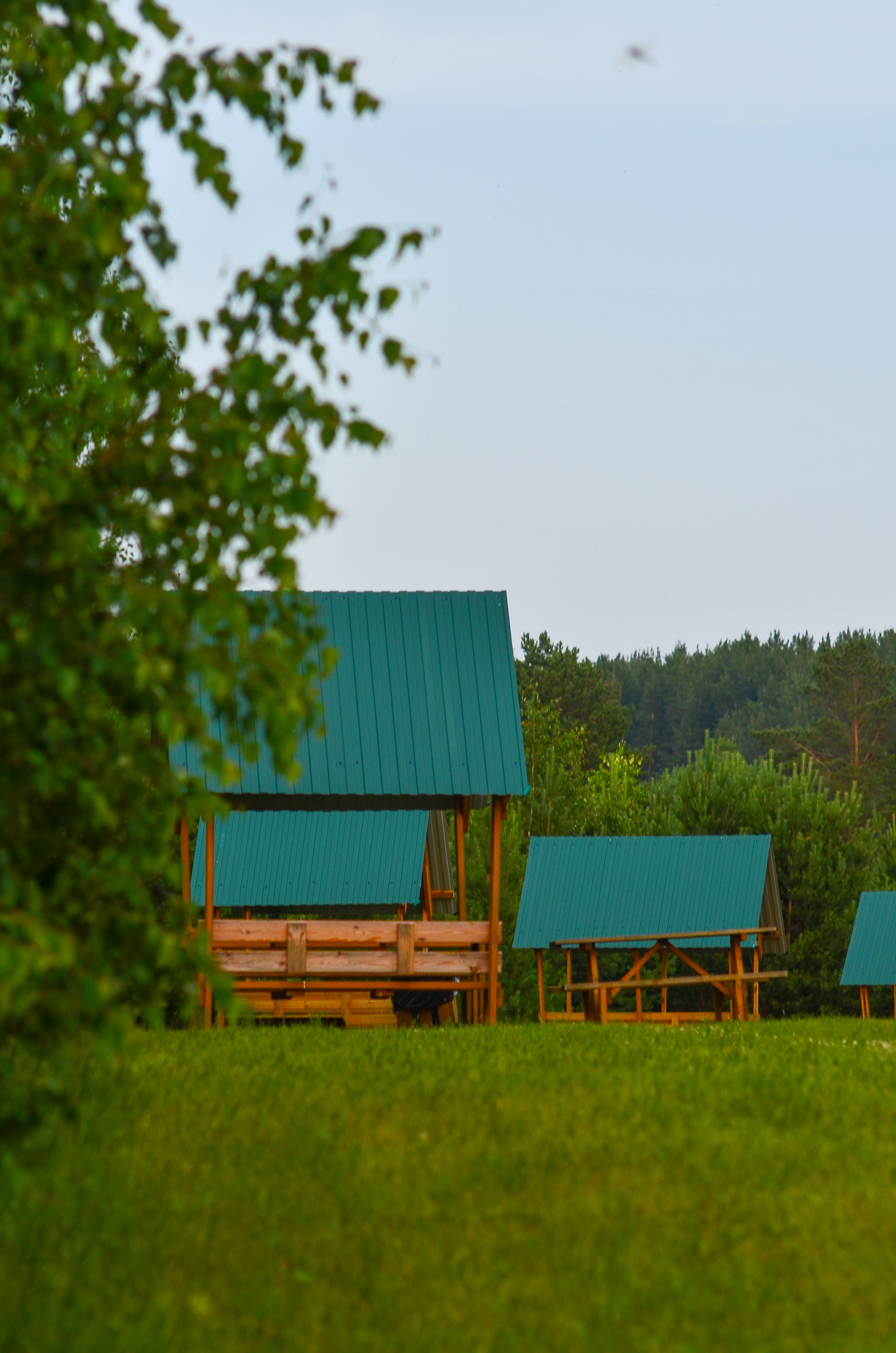Фото Лестория
