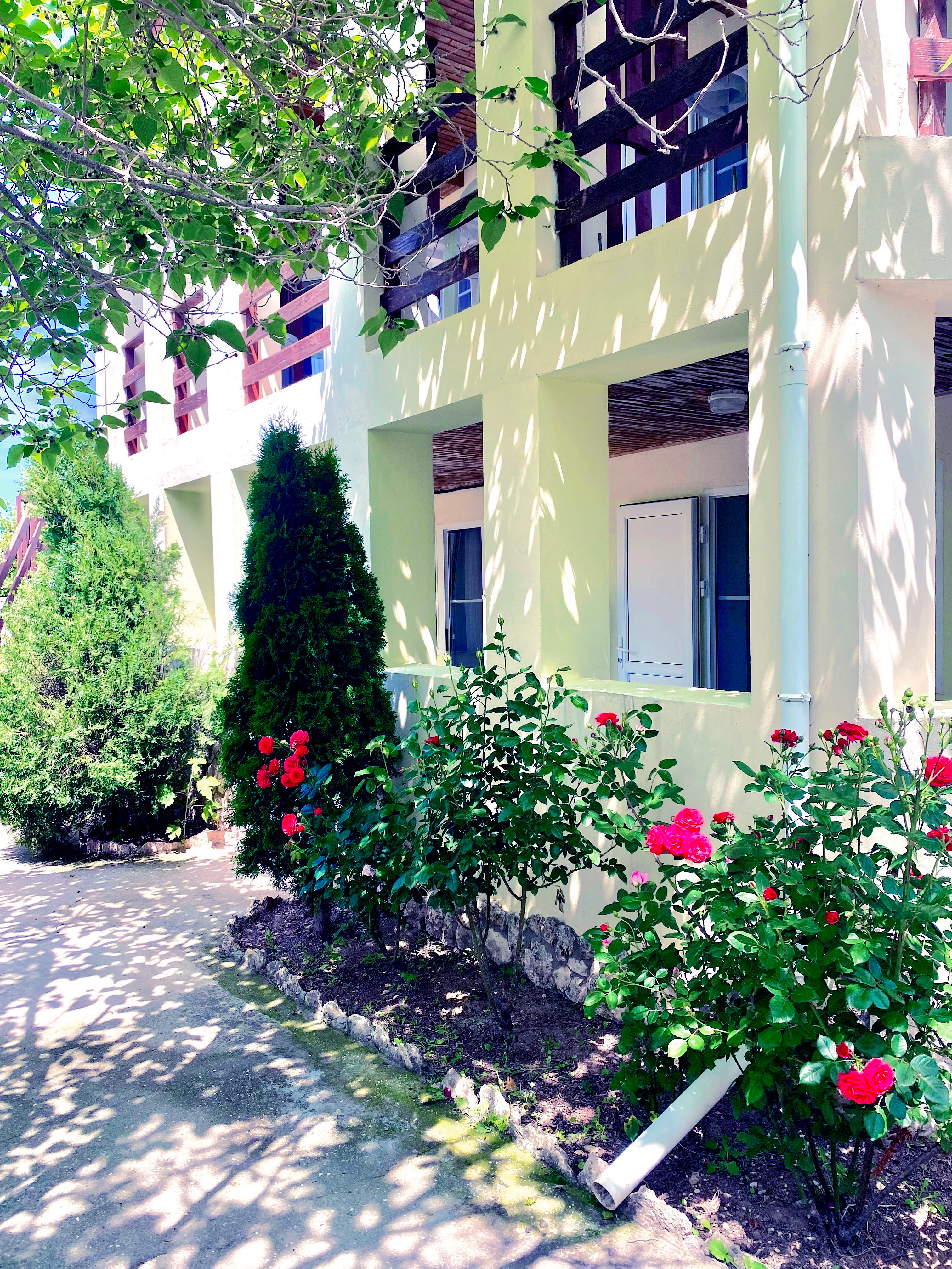 Фото АвокаДа