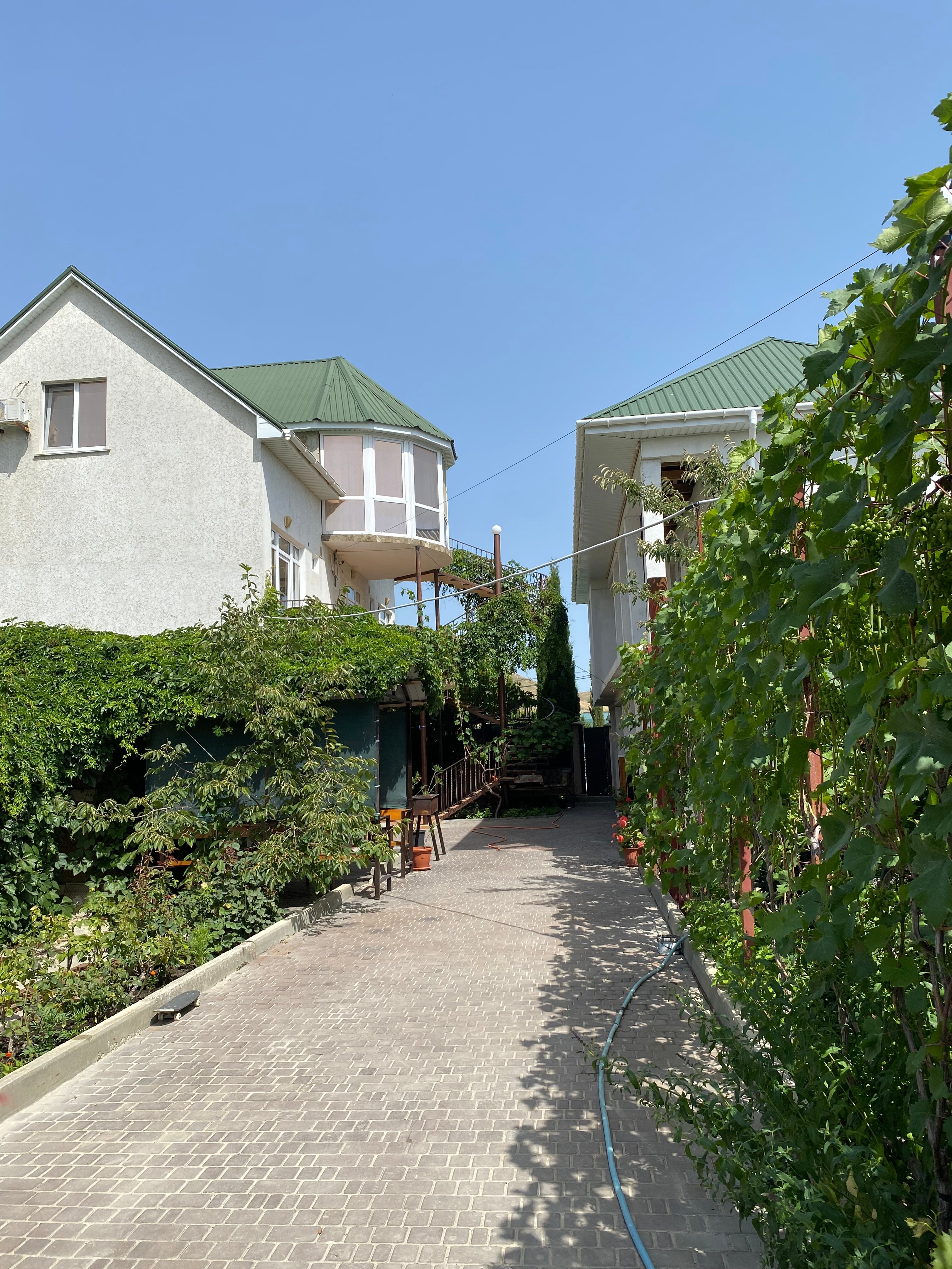 Фото Фортуна