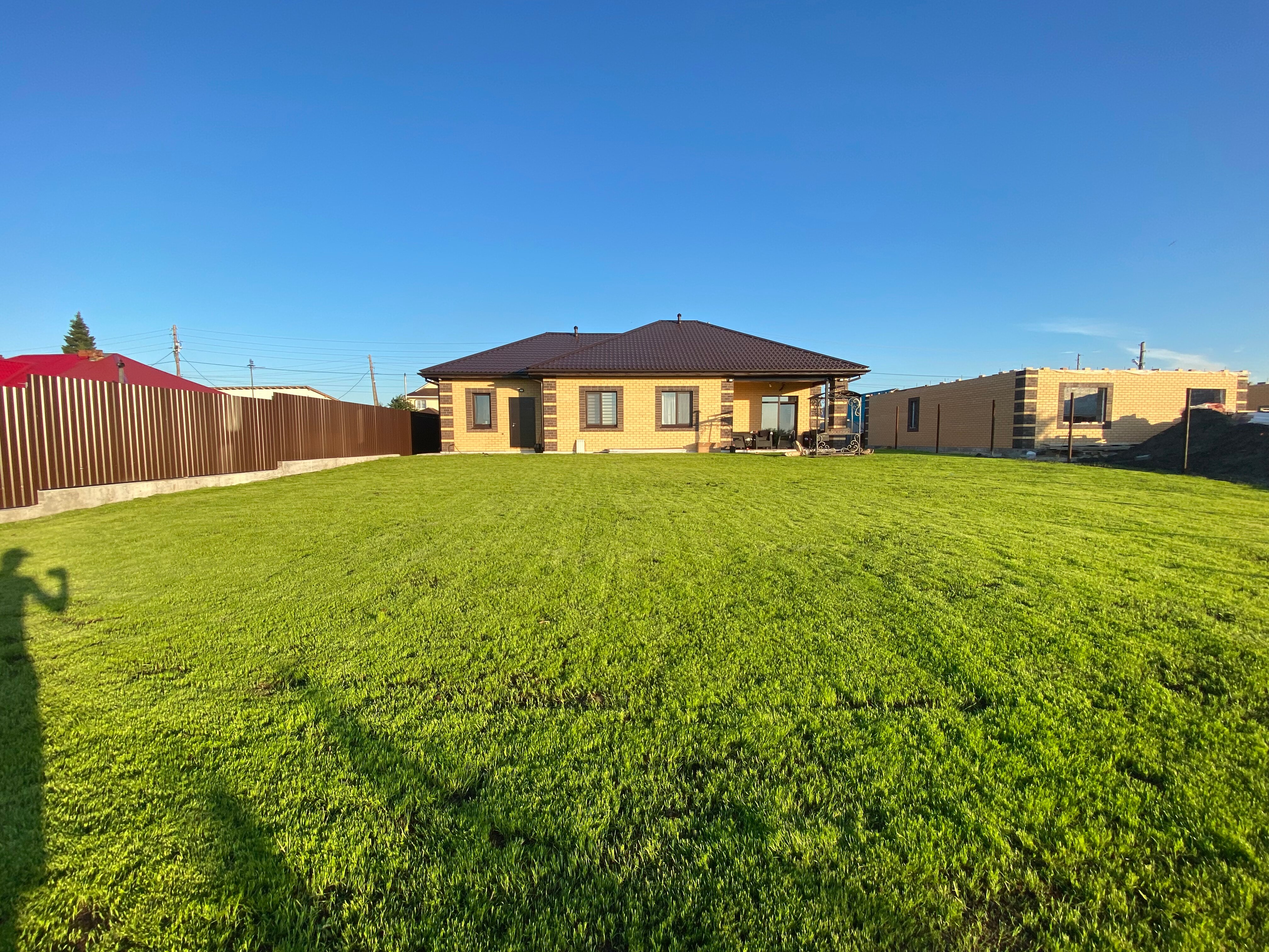 Фото Лаванда