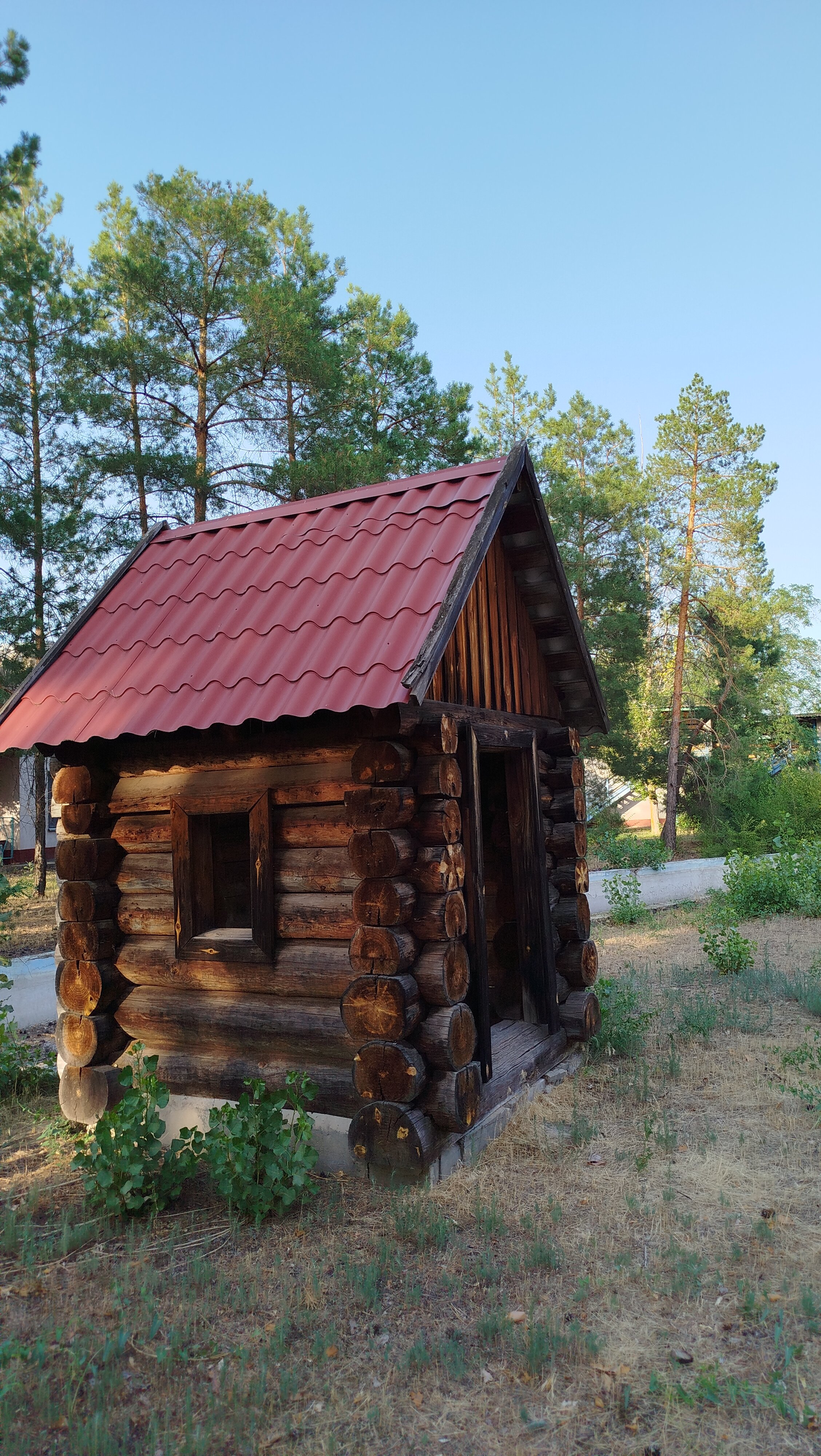 Фото Ветерок