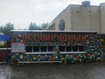 Izumrudnyj (Viciebskaja voblasc, Glybocki rajon, Ziabkawski sielsaviet, 1) ، مخيم صيفي