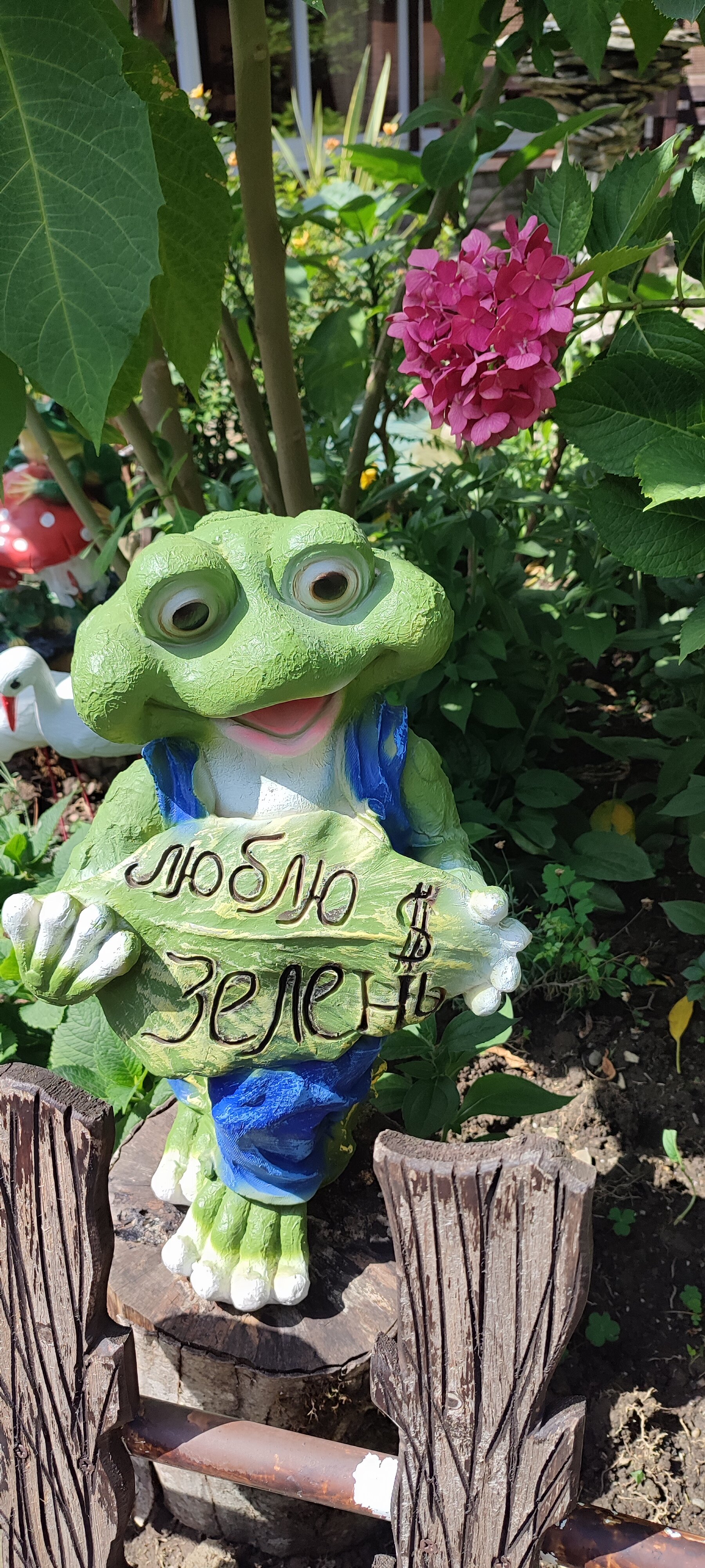 Фото Ромашка