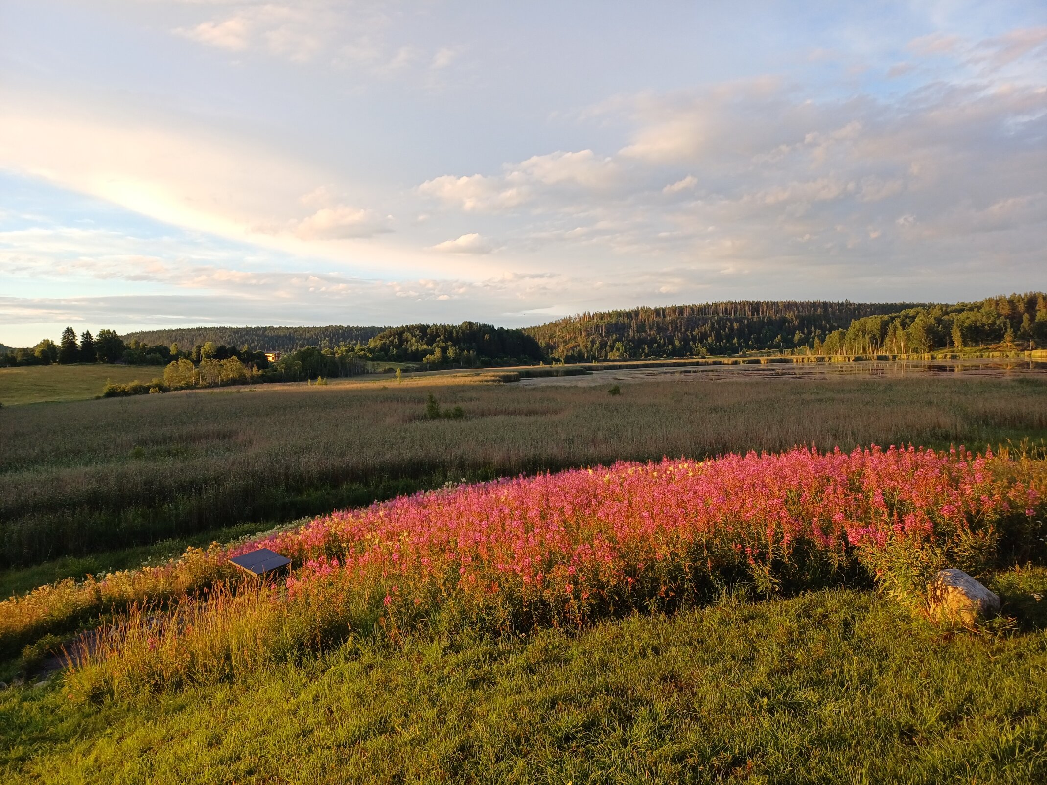 Фото Киркколампи