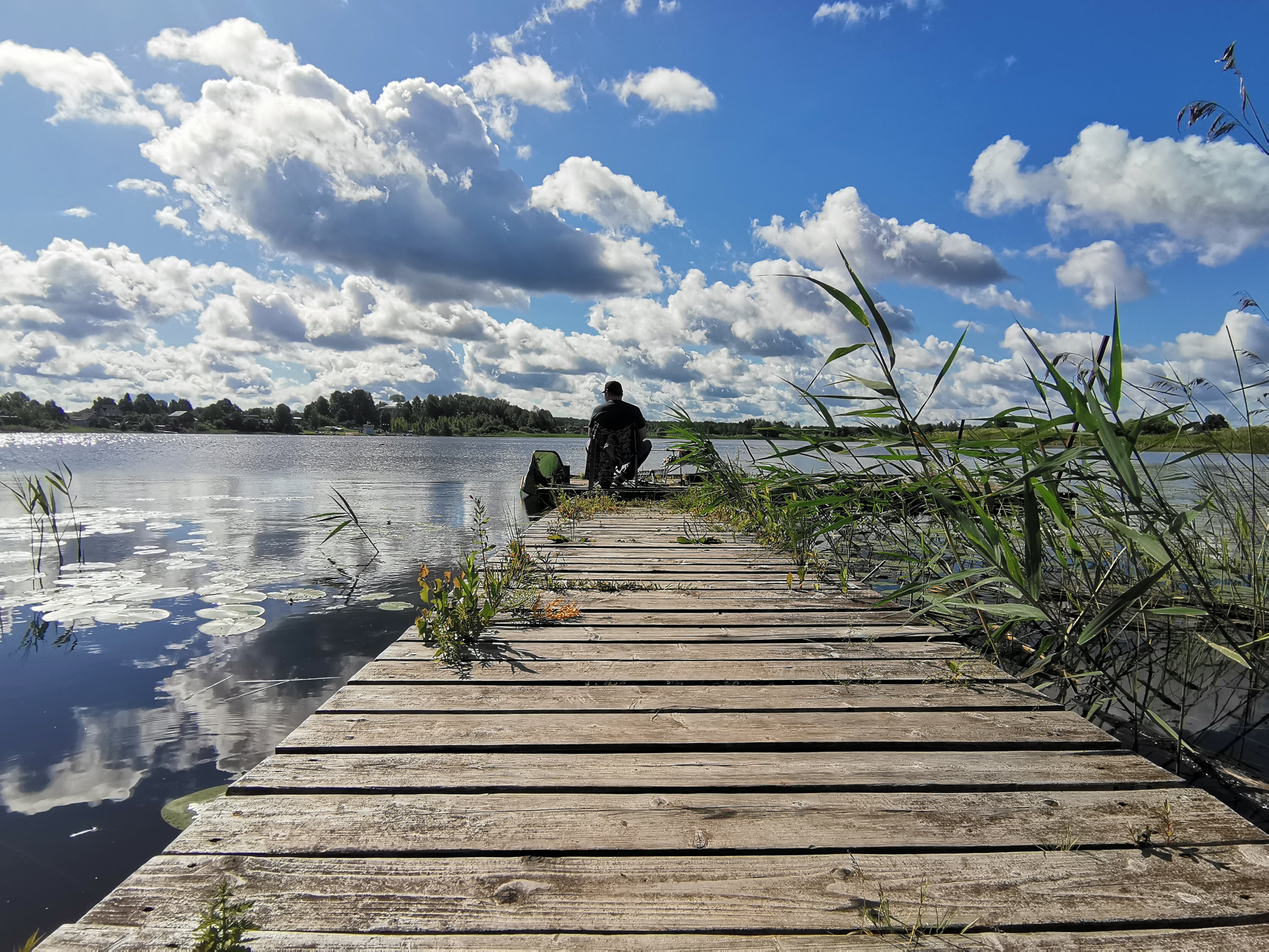 Фото Носороги