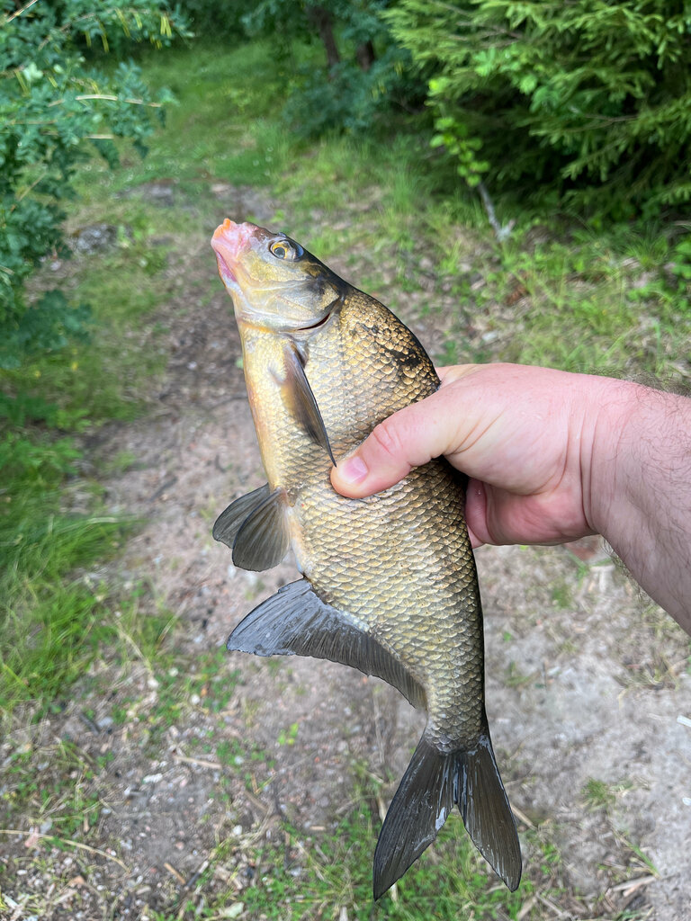 Пляж Пляж, Санкт‑Петербург и Ленинградская область, фото