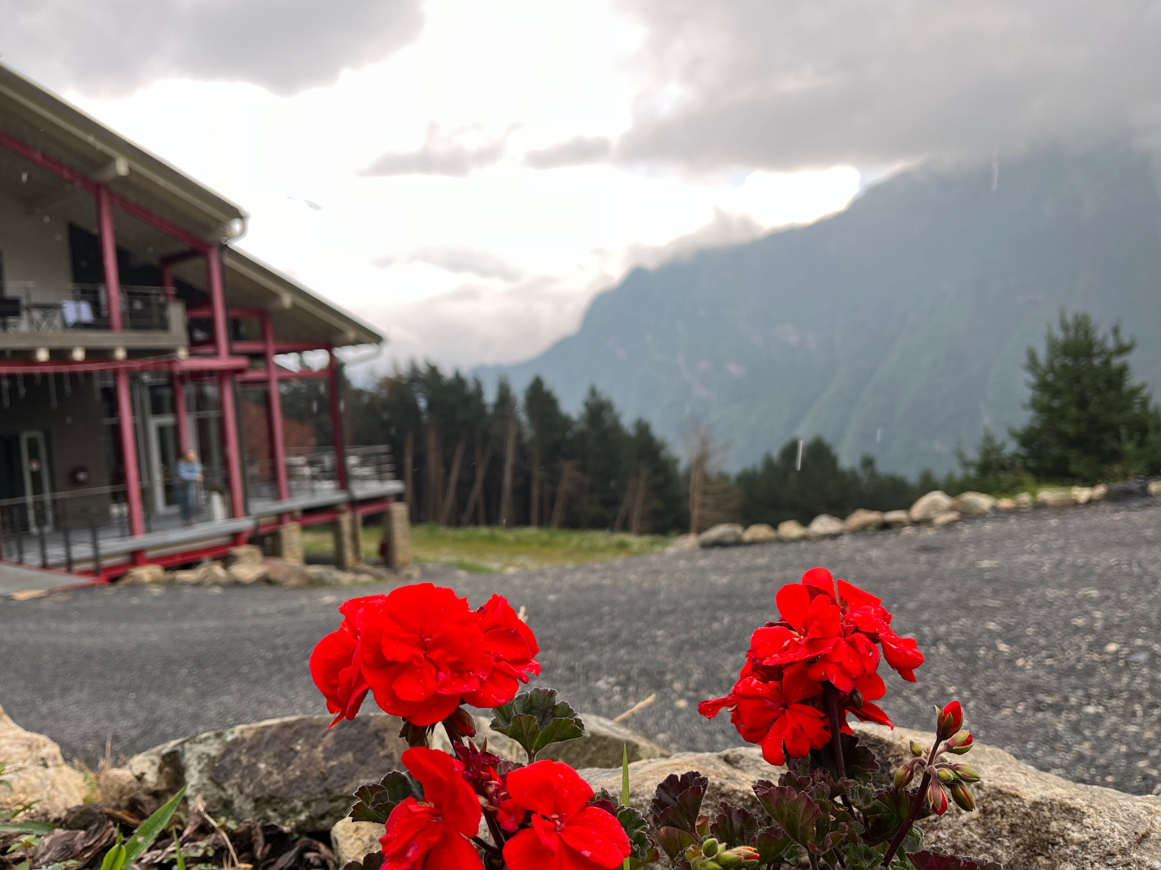 Фото Guest House 1950