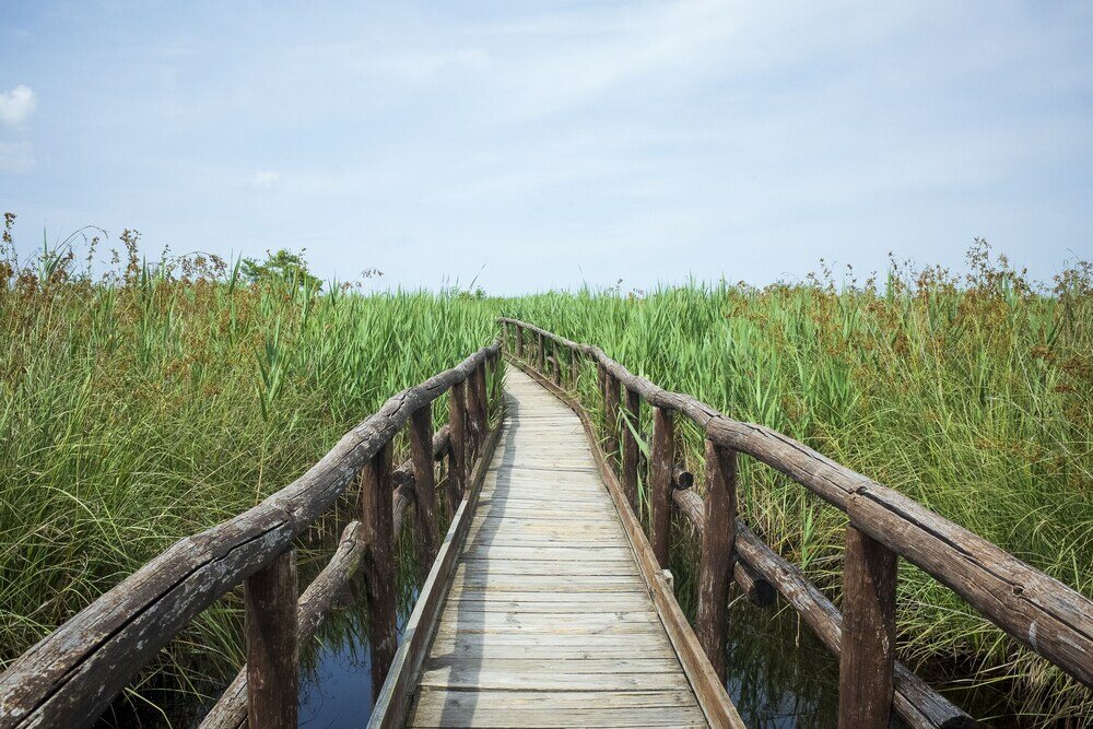 Фото The Gargoyles