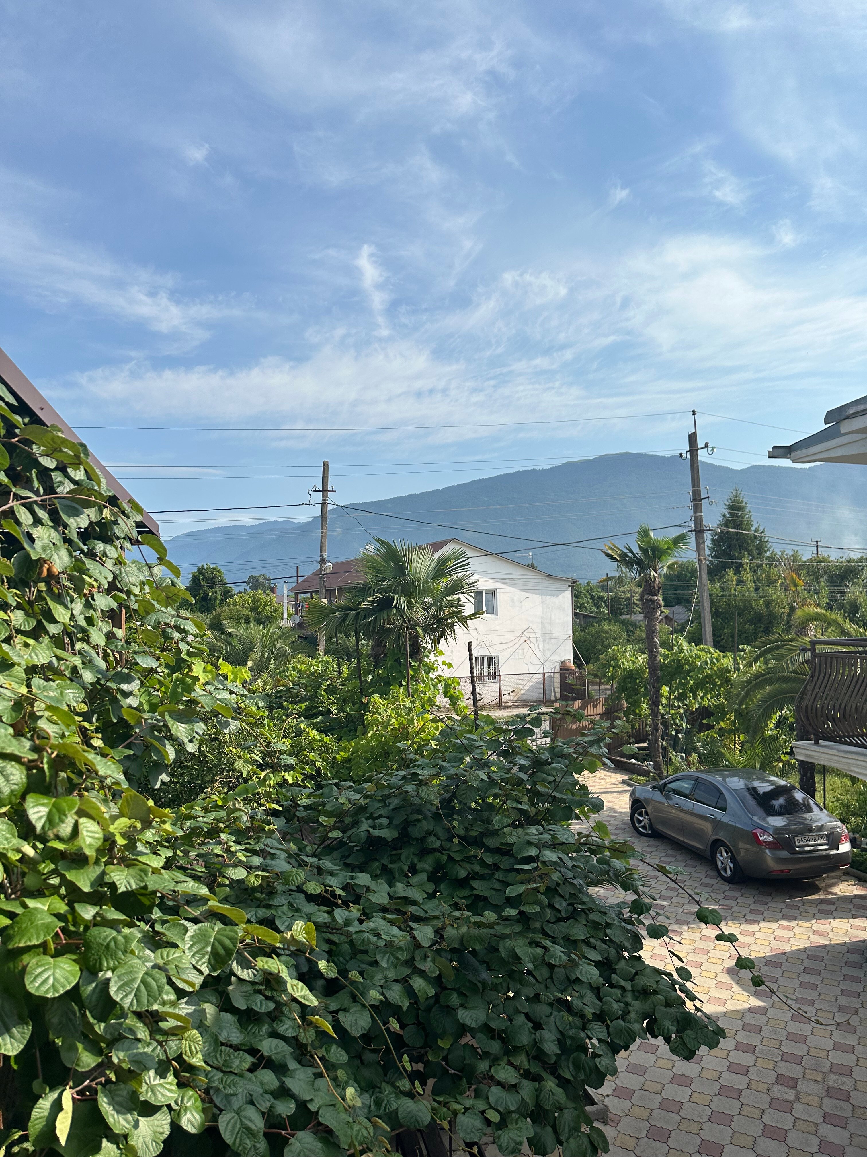 Фото 237534356219