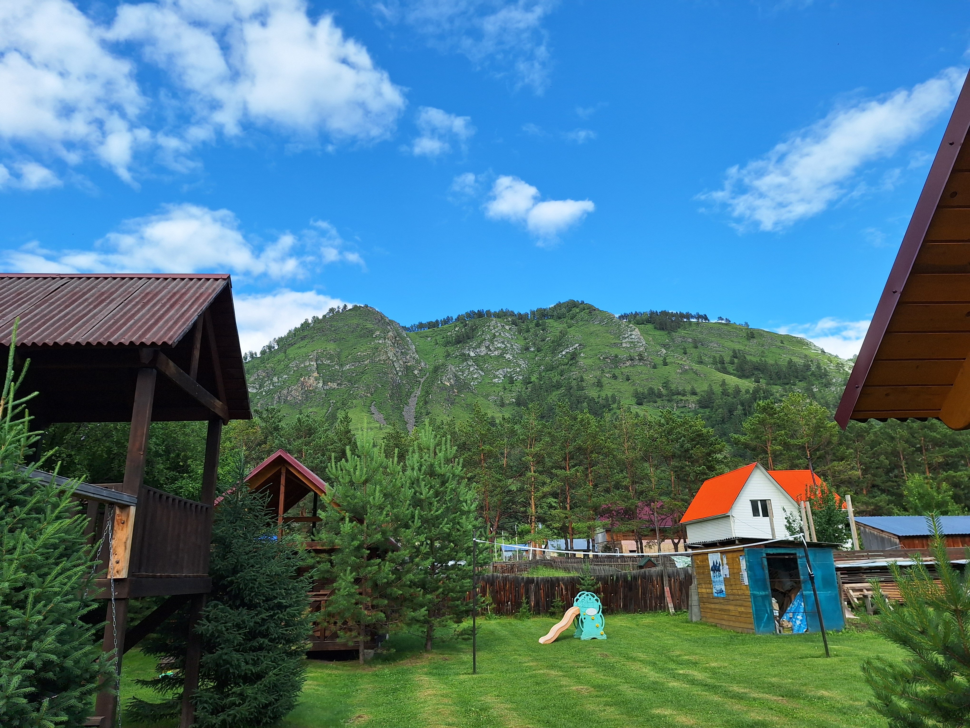 Фото Чемальское лето