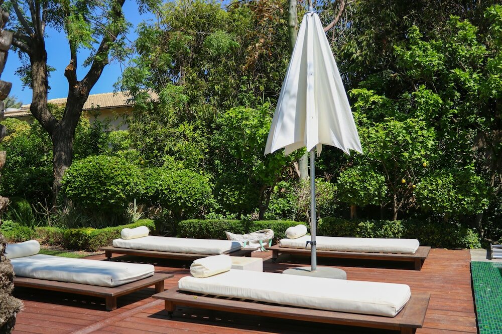 Фото 98771420892