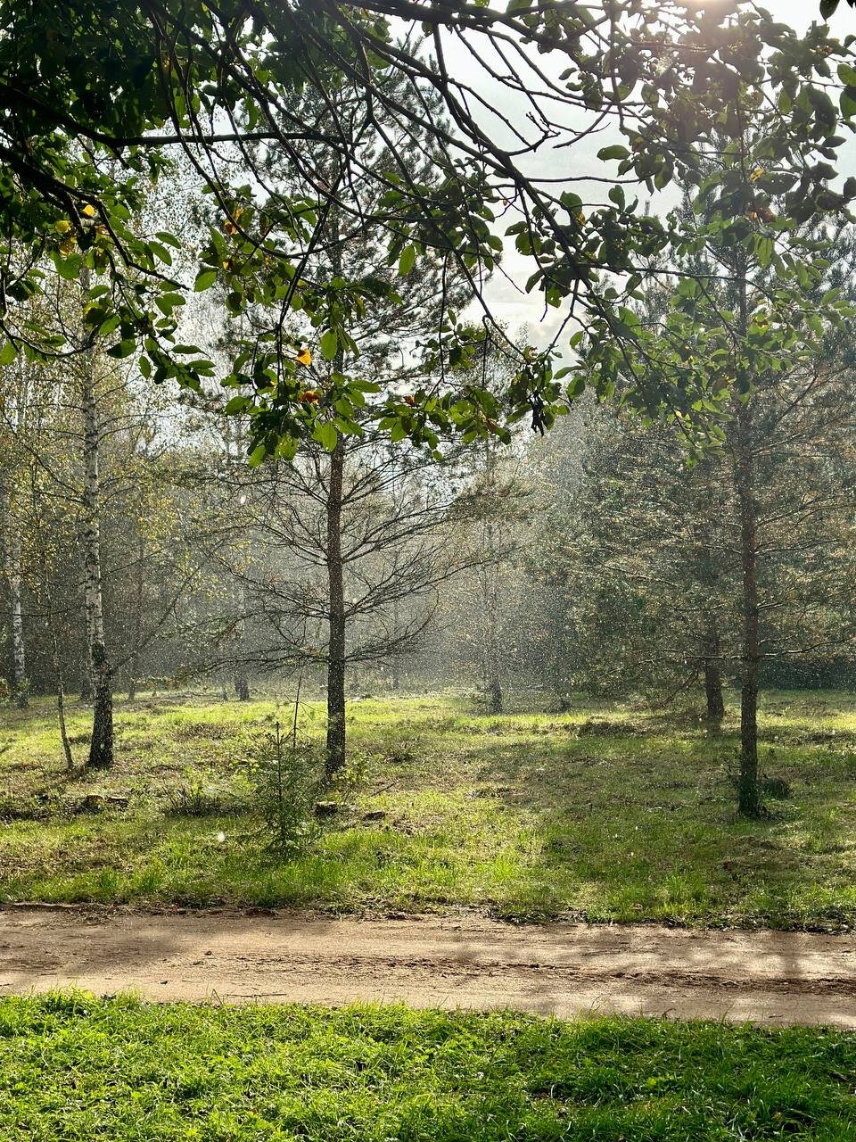 Фото База отдыха Ивашнёво