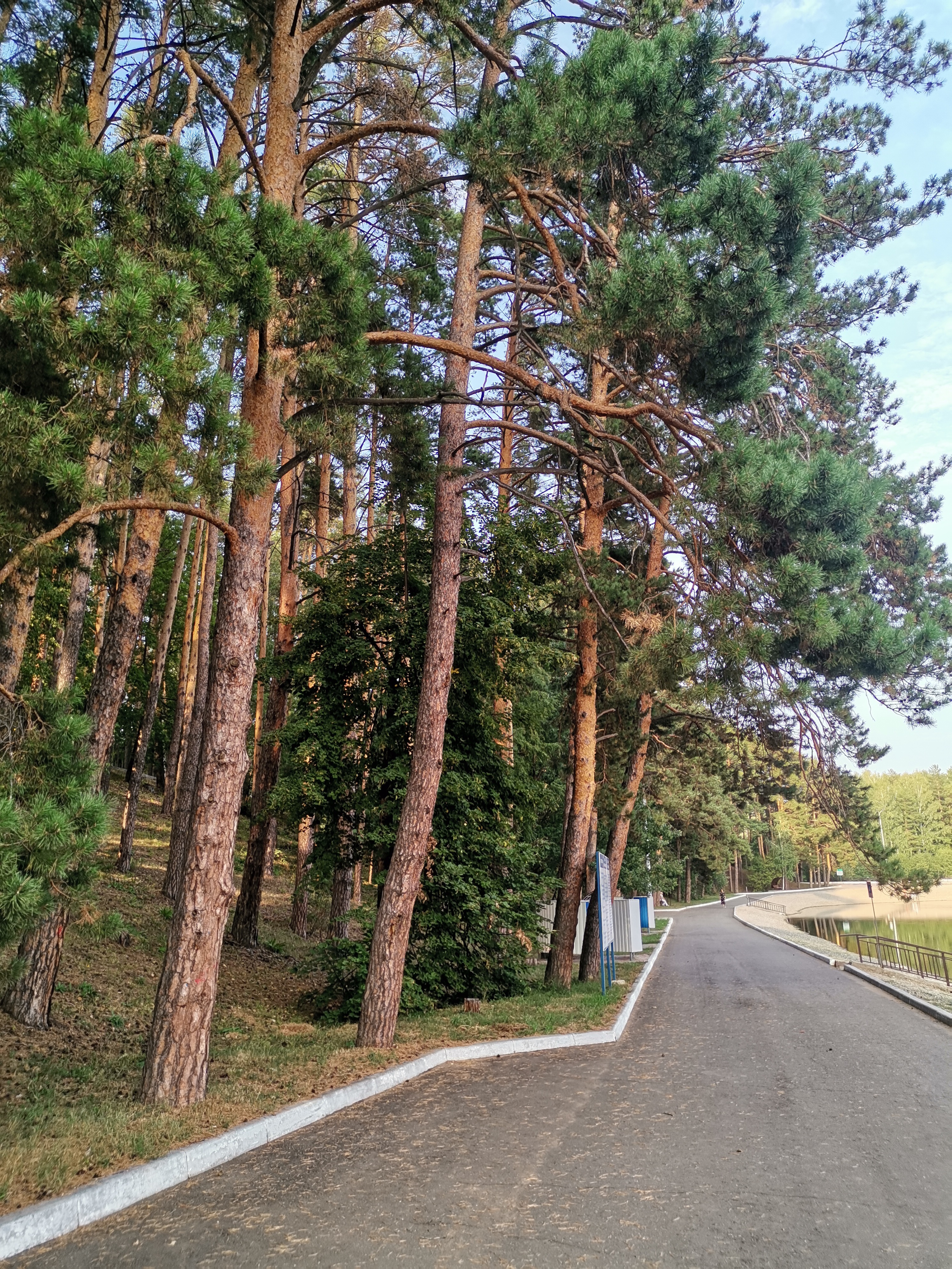 Фото Ромашкино