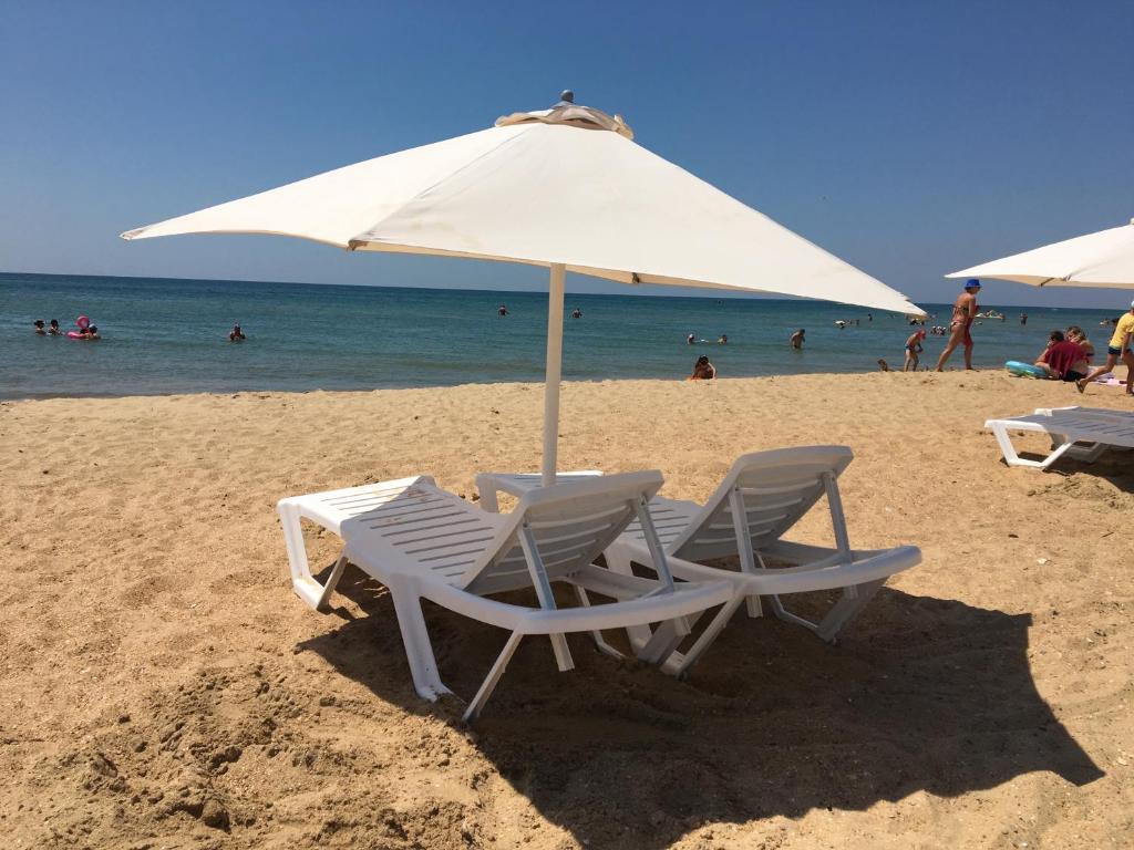 Фото Галант