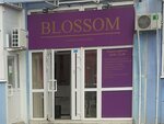 Blossom (Solnechnaya Street, 16) ، مصففو الشعر