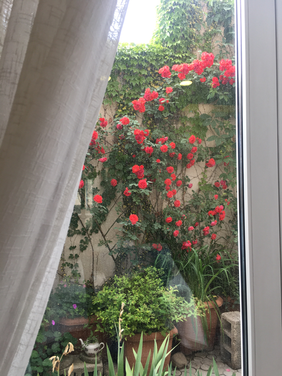 Фото Europe Hotel