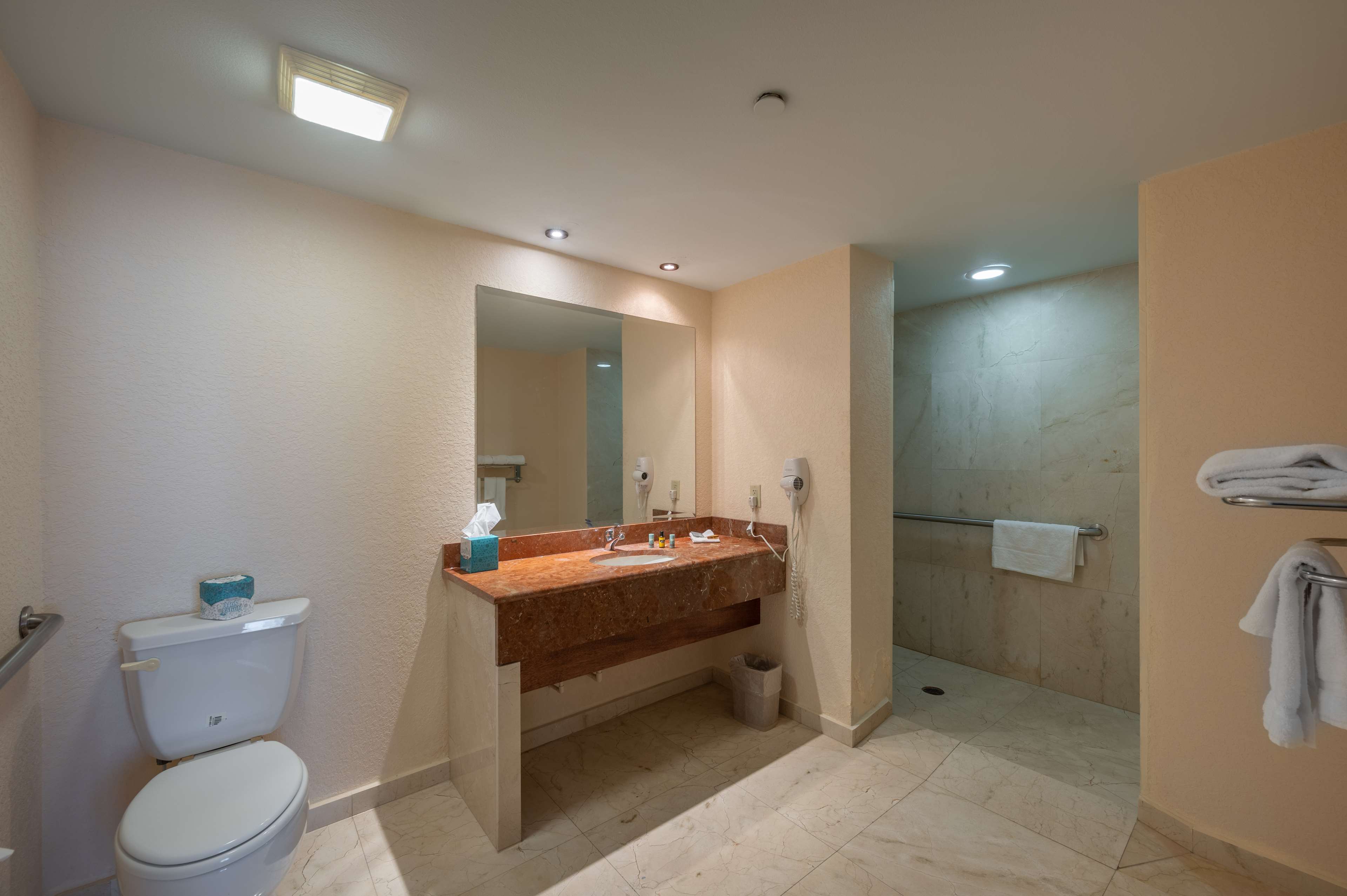 Фото Floridan Palace Hotel, Bw Premier Collection