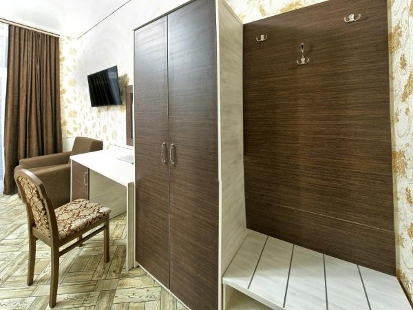 Фото Ленивый тюлень