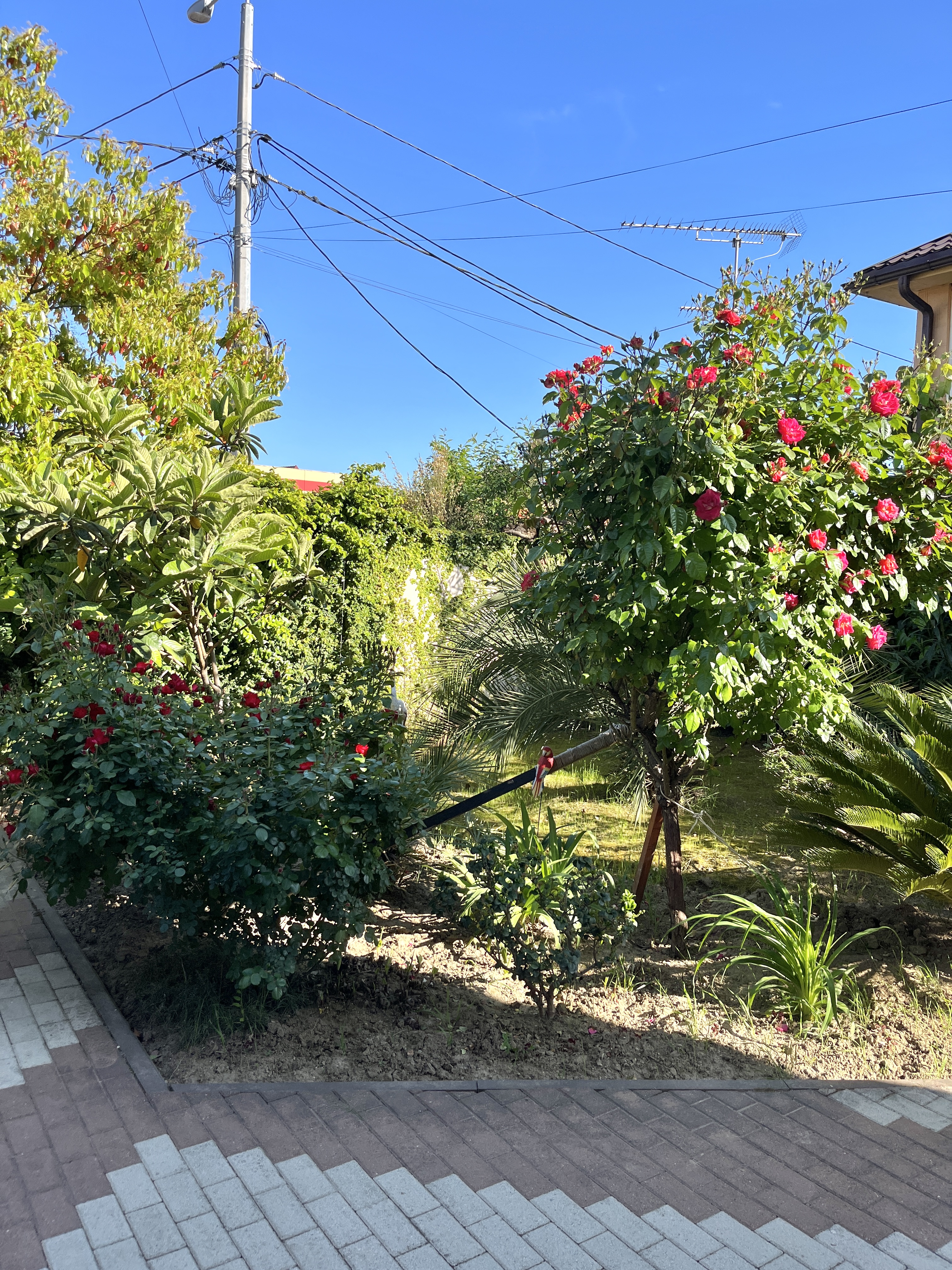 Фото Олимпийский парк