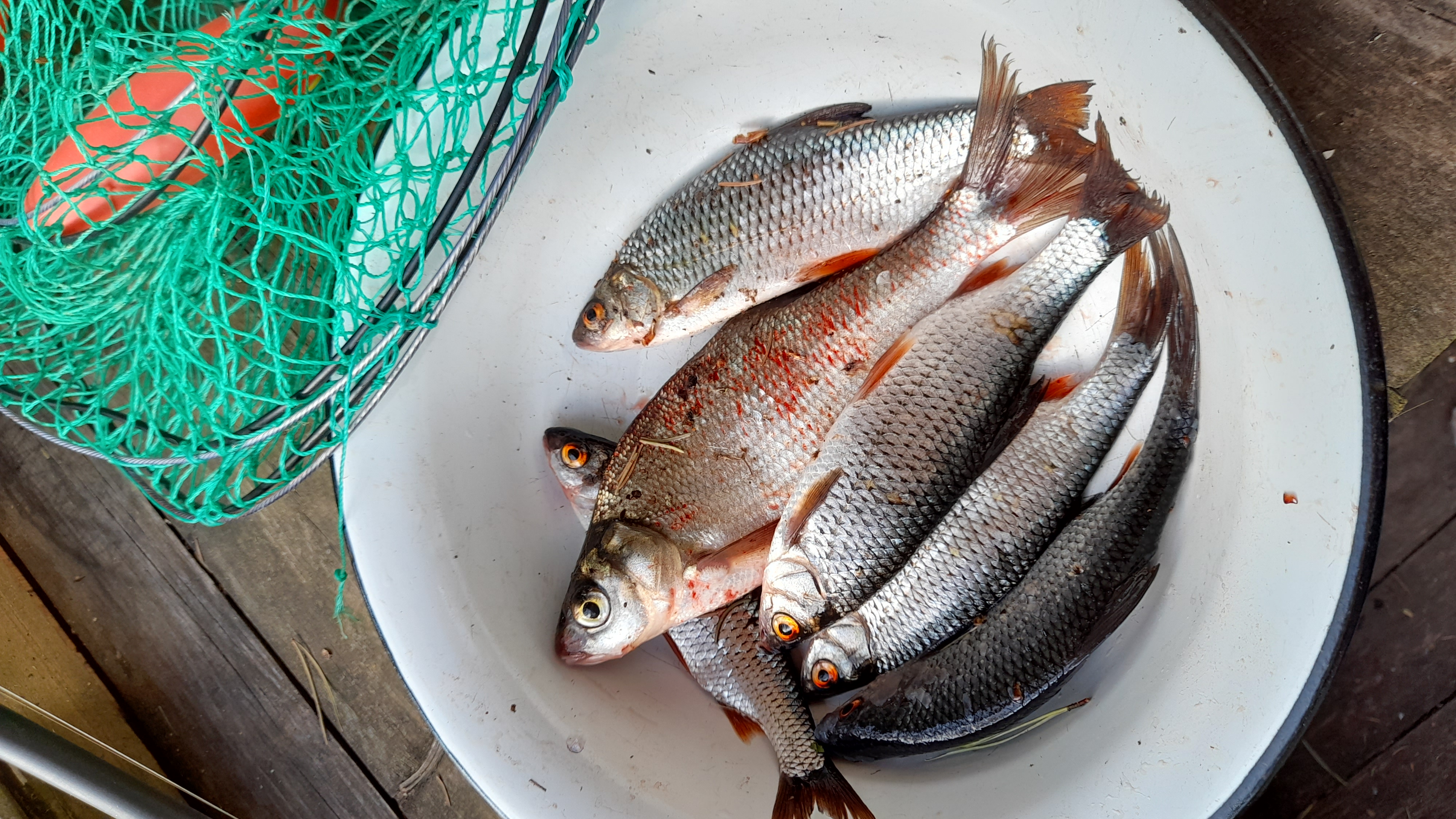 Фото Коломно