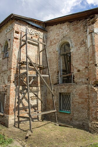 Наташа Луганск киски