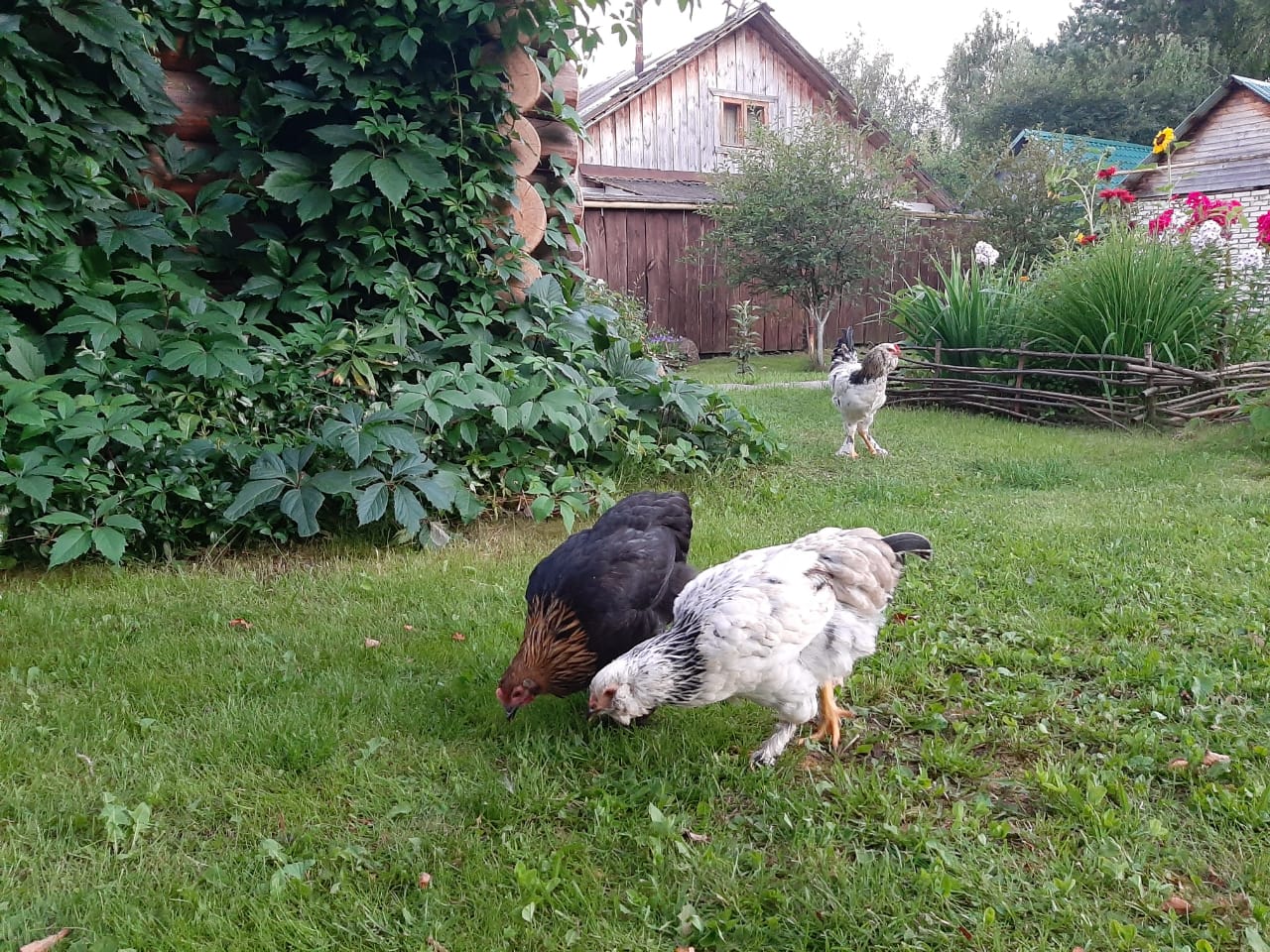 Фото Суздальское подворье с русской баней