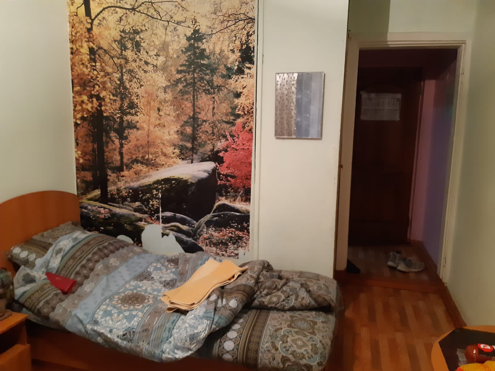 Фото Гостиница Аша