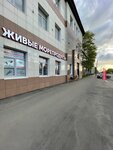 DelicatesClub (Якорная ул., 11К, Санкт-Петербург), рыба и морепродукты в Санкт‑Петербурге