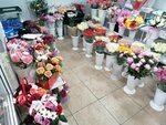 База Цветов (ул. Свердлова, 53), цветочный рынок в Балашихе
