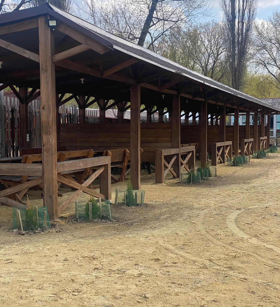 Фото Белуга