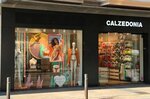 Calzedonia (Comunidad Autónoma del País Vasco, Álava Province, Cuadrilla de Vitoria, Calle General Álava, 16), clothing store